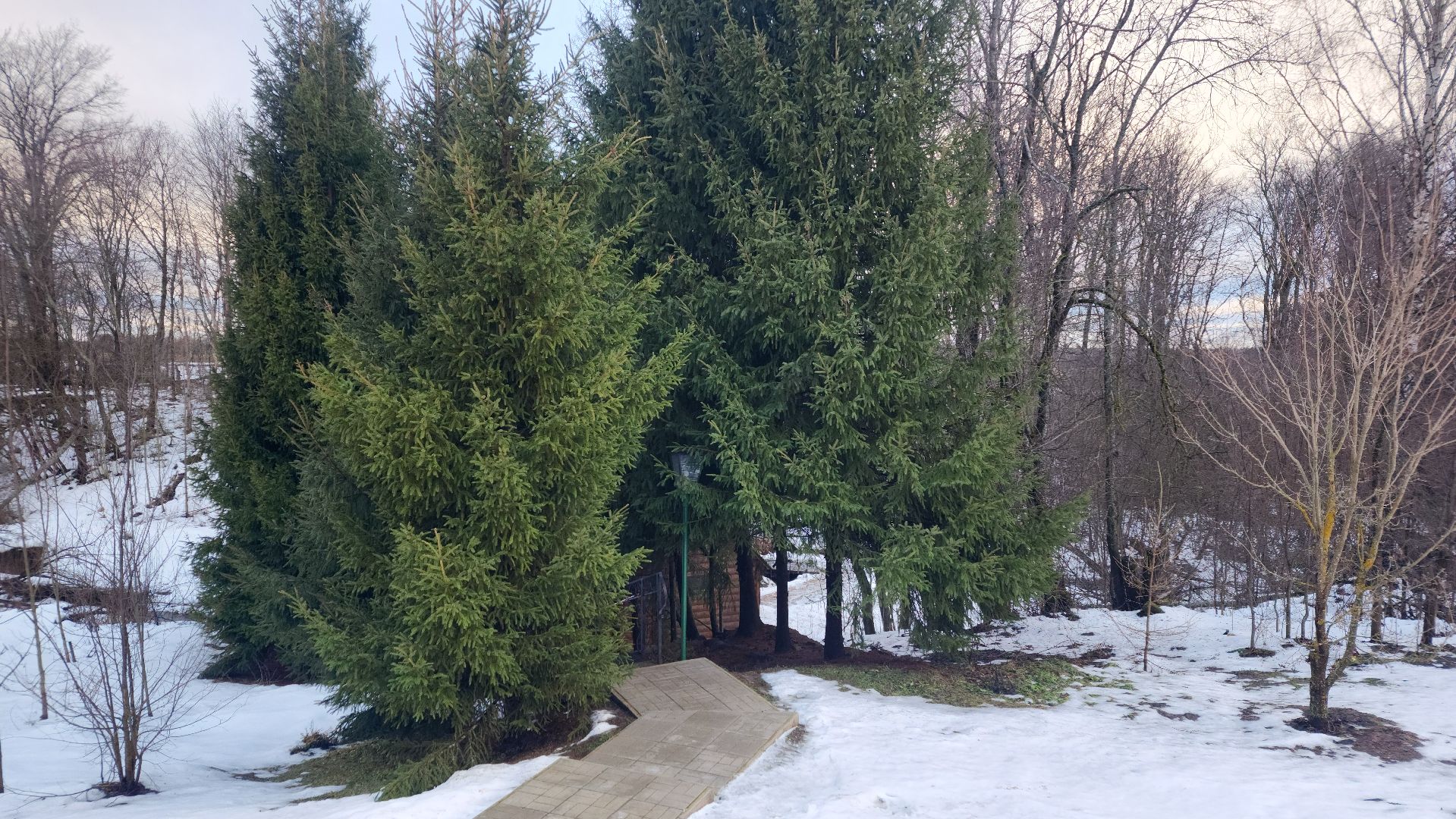 крещение, купели, волоколамск, спирово, вертикалки,