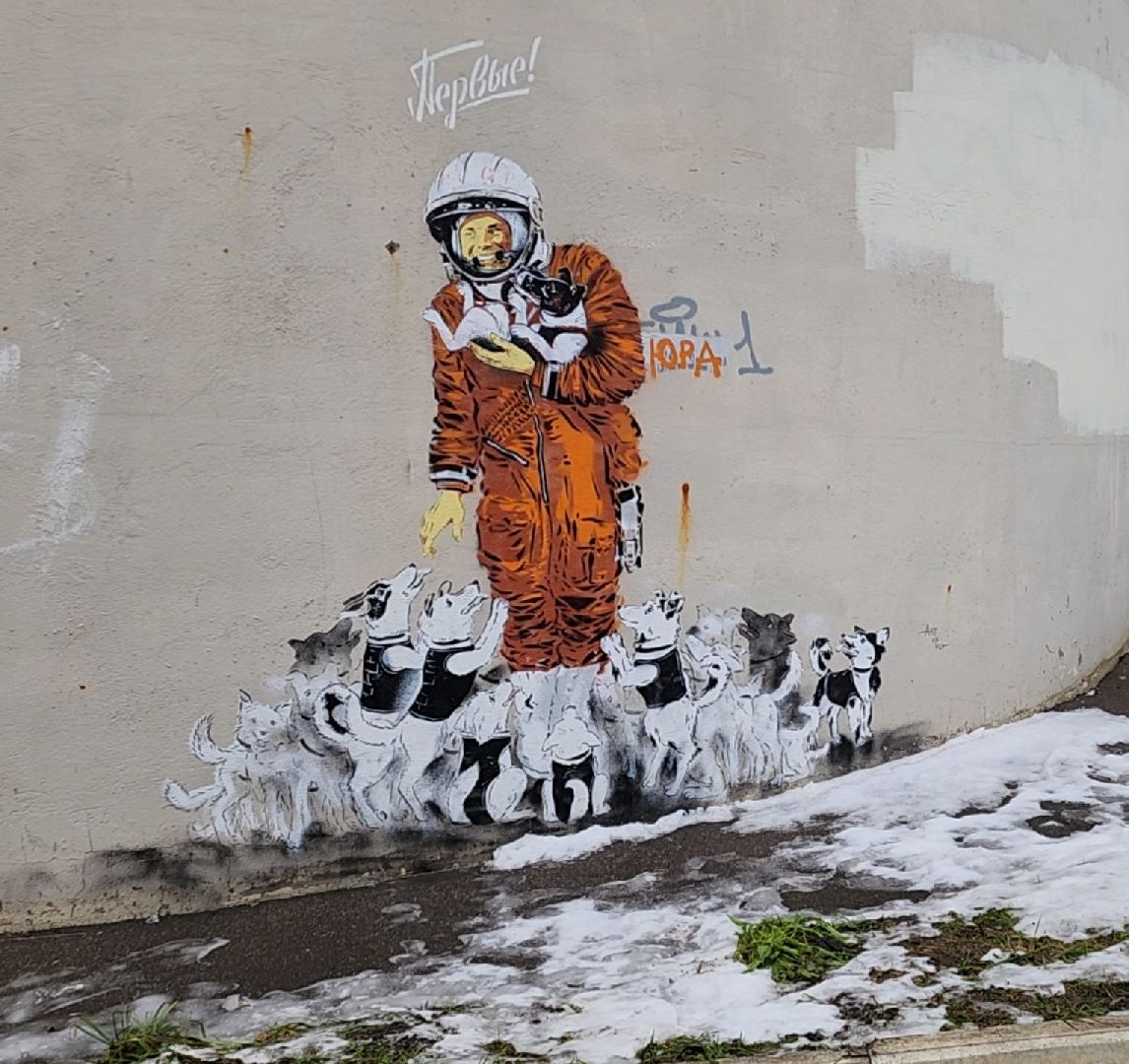 стрит-арт, художник, химки, вертикалки,