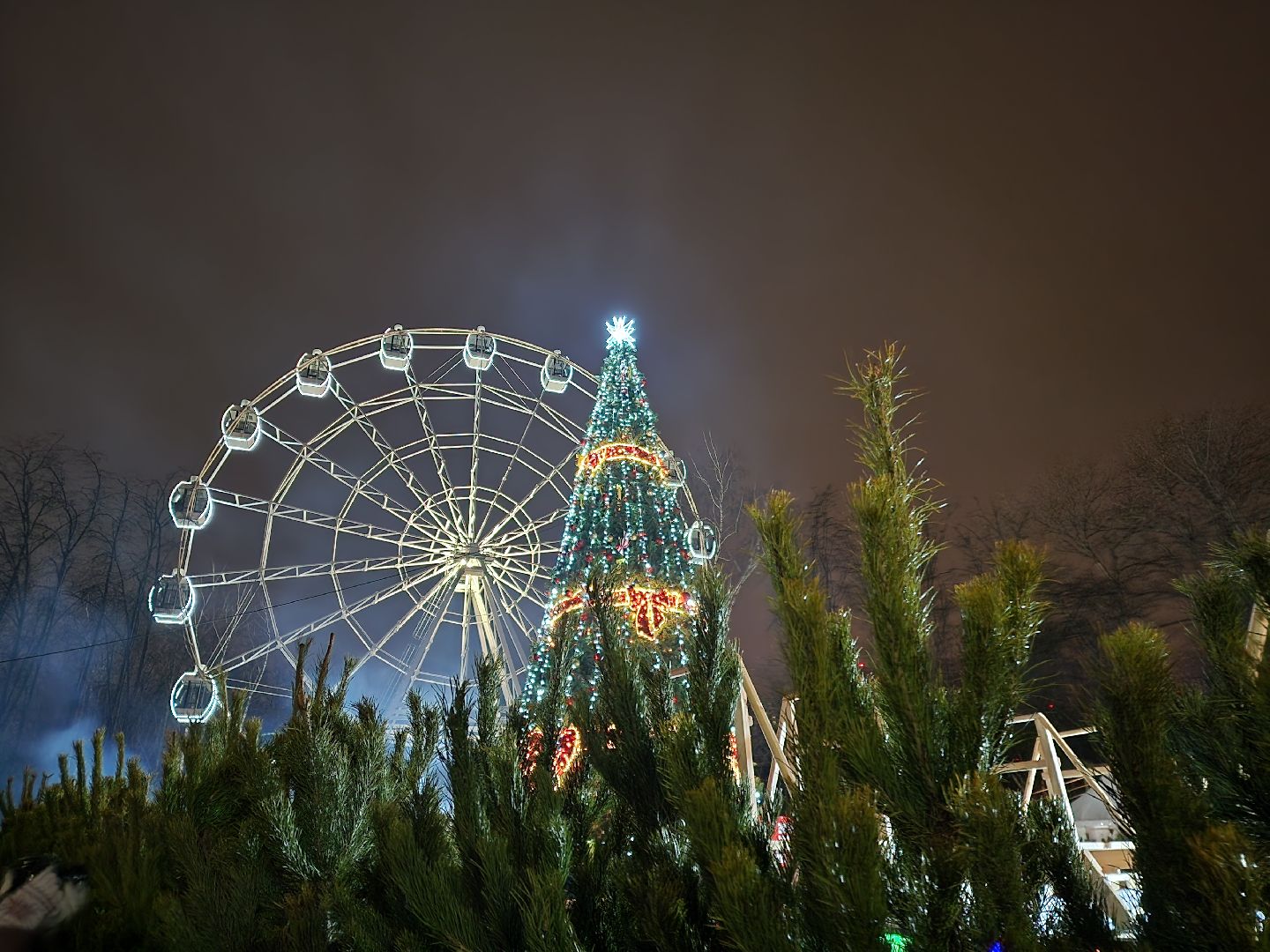 Крещение, Купель, наташинский парк, Парк,