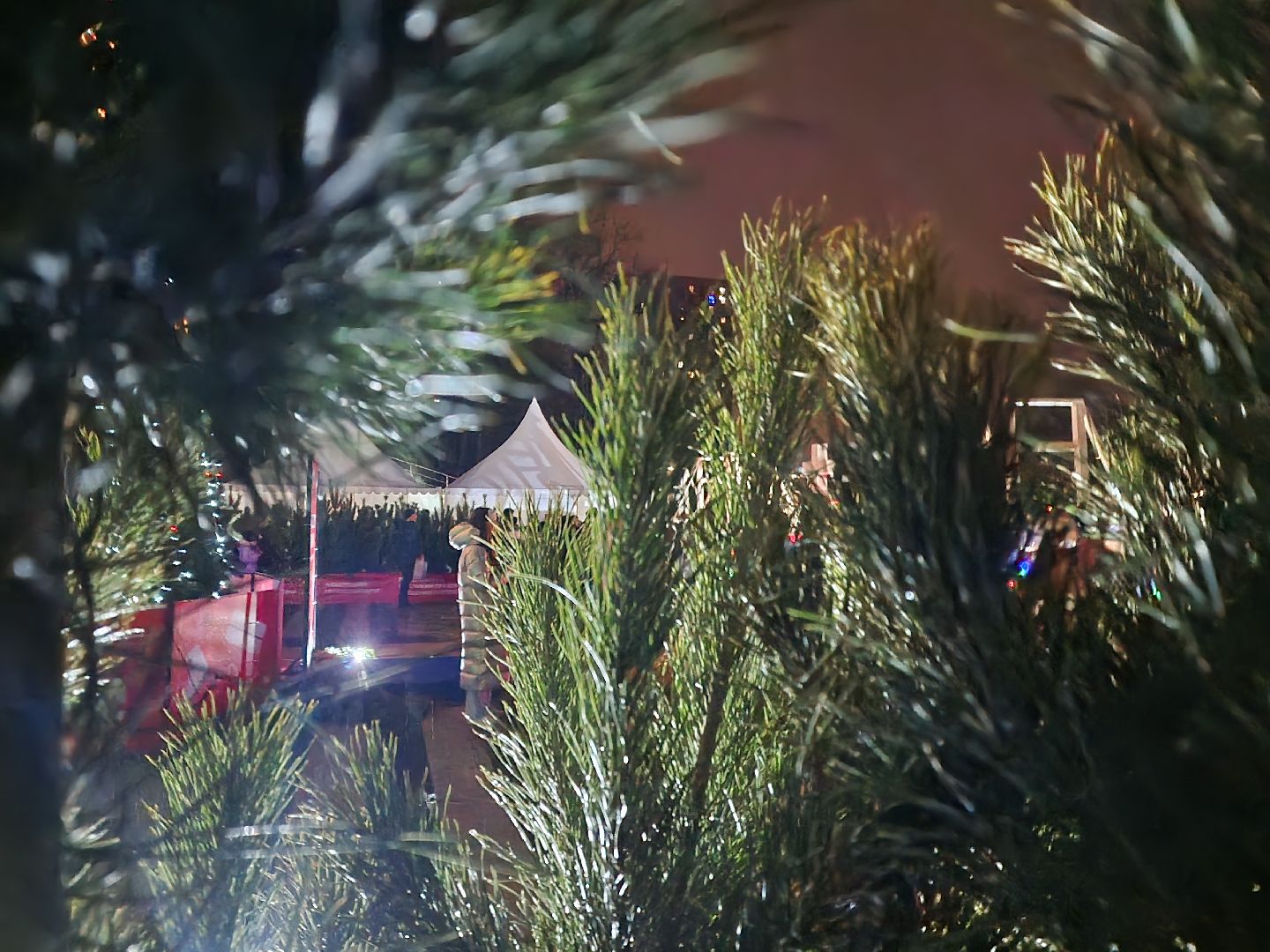 Крещение, Купель, наташинский парк, Парк,