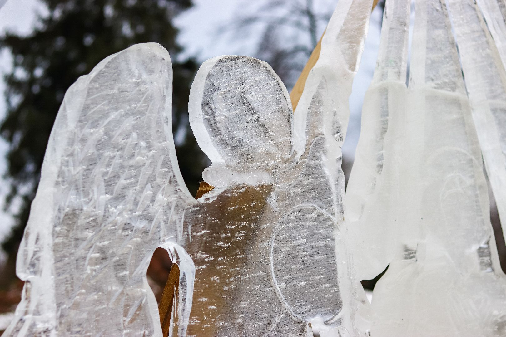 Клин, общество, художники, ледяные фигуры, крещение господне, вертикалки,