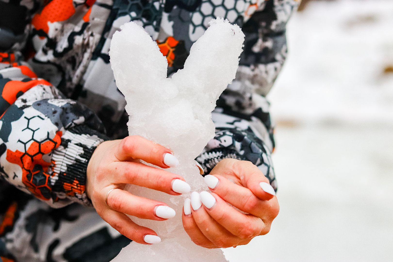 Клин, общество, художники, ледяные фигуры, крещение господне, вертикалки,