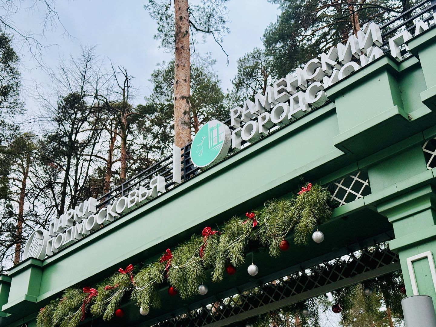 раменское, парки подмосковья, городской парк, дети, каток,