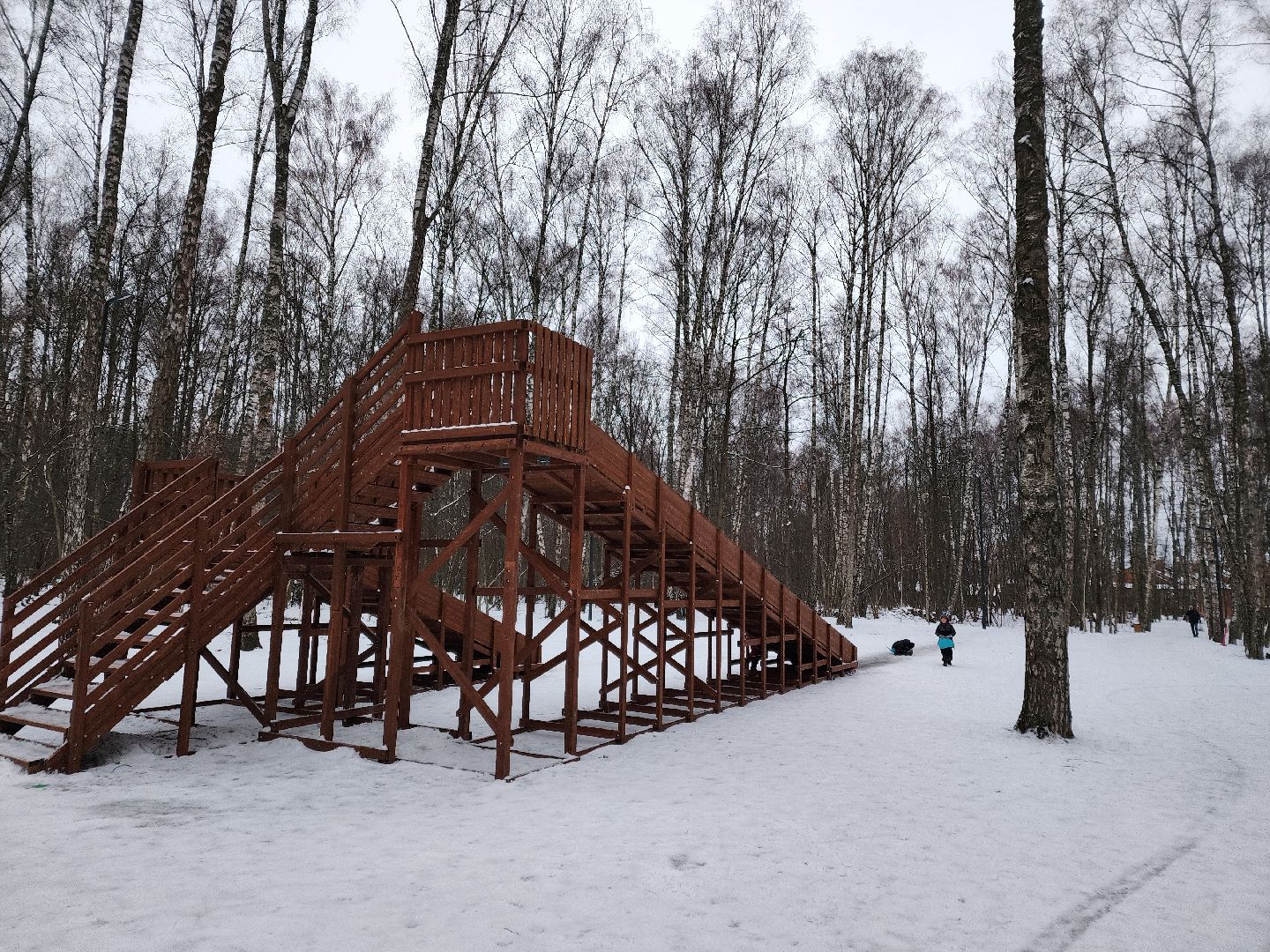 Чехов, микрорайон губернский, лесопарк, парковая зона отдыха, строительство, благоустройство, тюбинговые горки, программа Парки в лесу, губернатор московской области, вертикалки,
