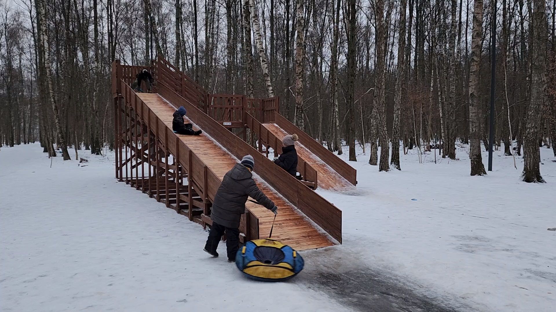 Чехов, микрорайон губернский, лесопарк, парковая зона отдыха, строительство, благоустройство, тюбинговые горки, программа Парки в лесу, губернатор московской области, вертикалки,