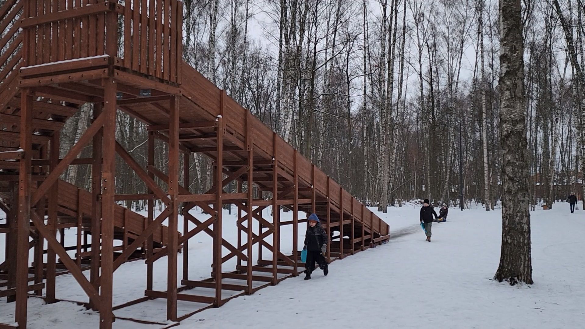 Чехов, микрорайон губернский, лесопарк, парковая зона отдыха, строительство, благоустройство, тюбинговые горки, программа Парки в лесу, губернатор московской области, вертикалки,