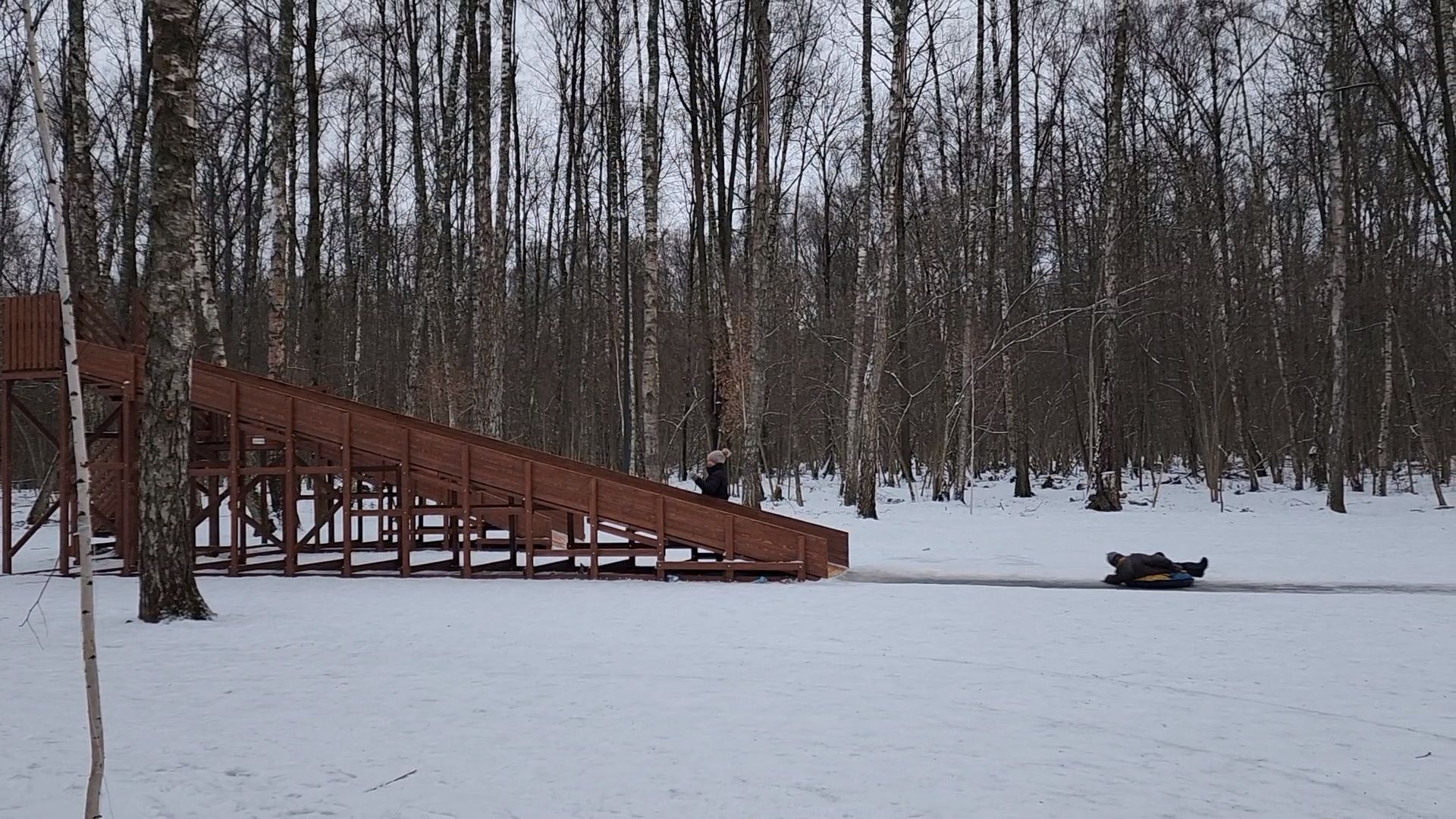 Чехов, микрорайон губернский, лесопарк, парковая зона отдыха, строительство, благоустройство, тюбинговые горки, программа Парки в лесу, губернатор московской области, вертикалки,