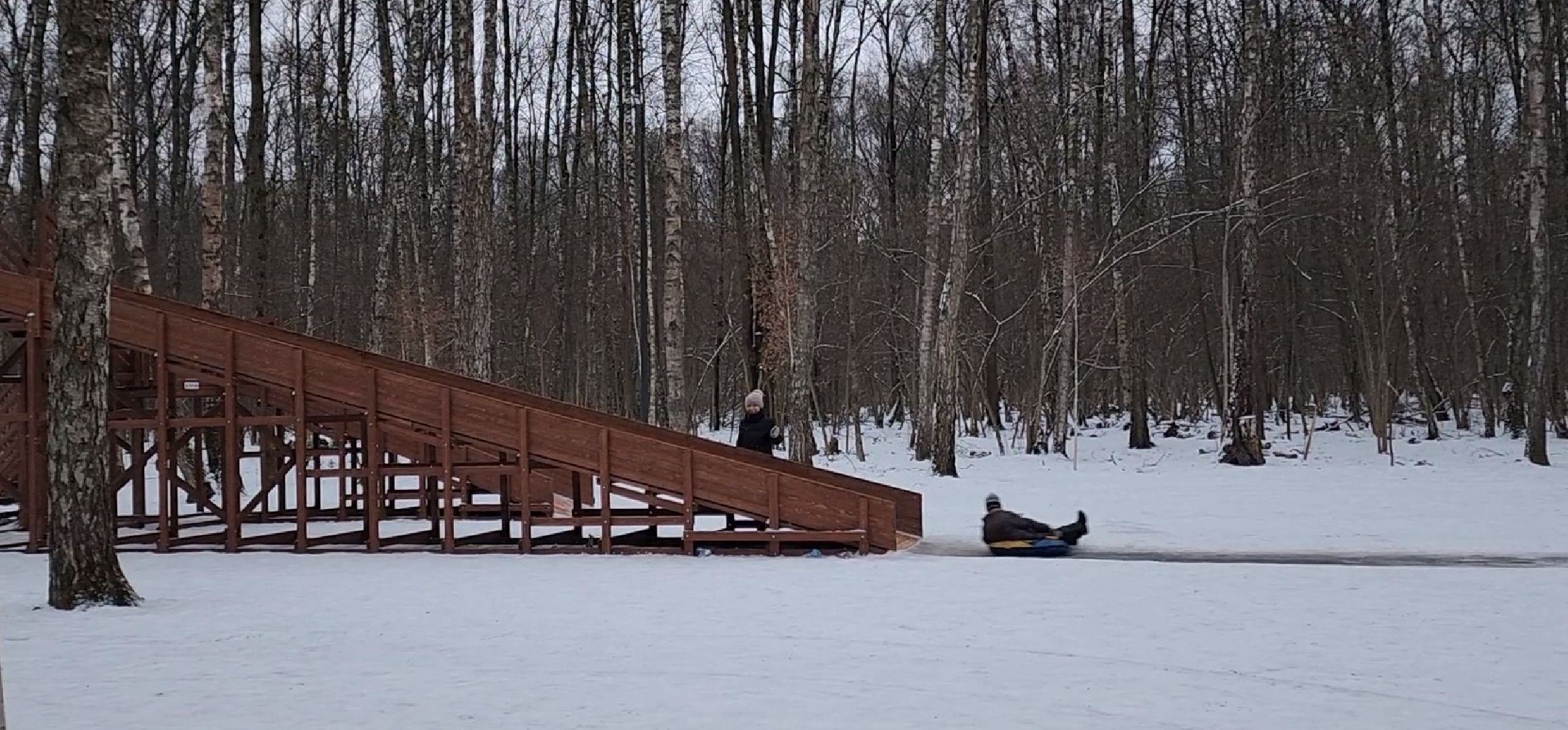 Чехов, микрорайон губернский, лесопарк, парковая зона отдыха, строительство, благоустройство, тюбинговые горки, программа Парки в лесу, губернатор московской области, вертикалки,