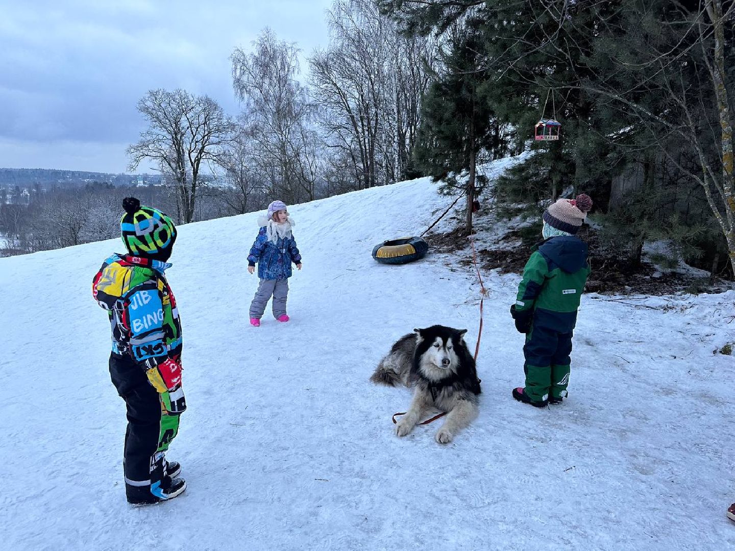 истра, катание на лыжах, спорт,