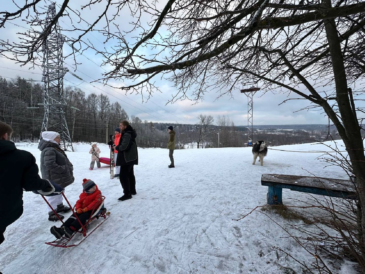 истра, катание на лыжах, спорт,