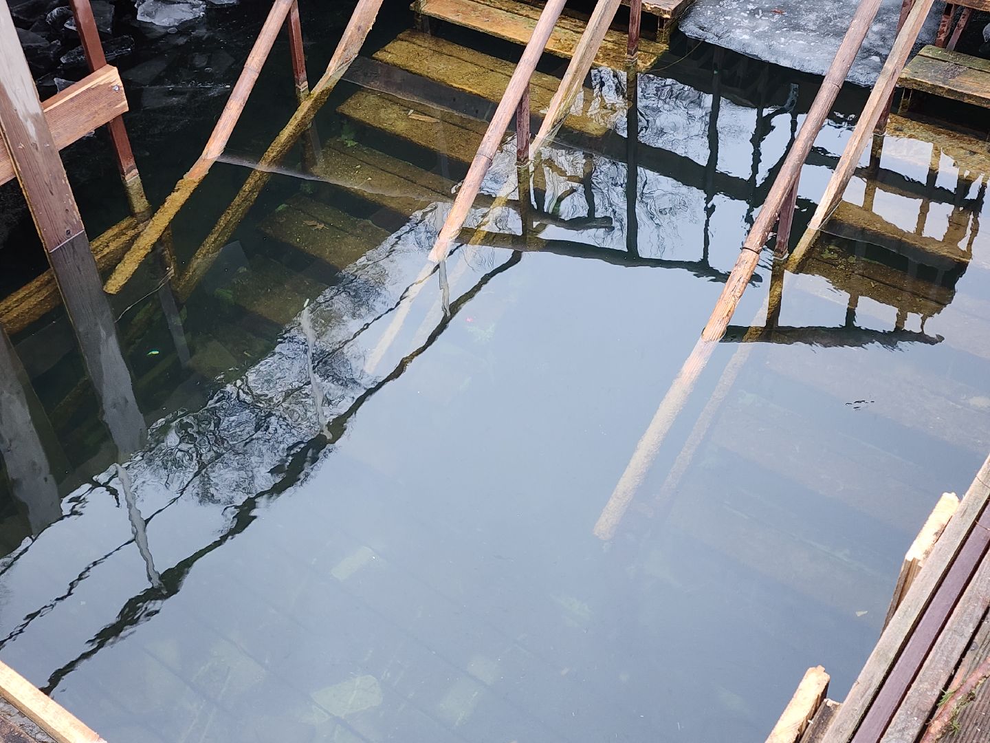 серпухов, крещение, парк жемчужина,