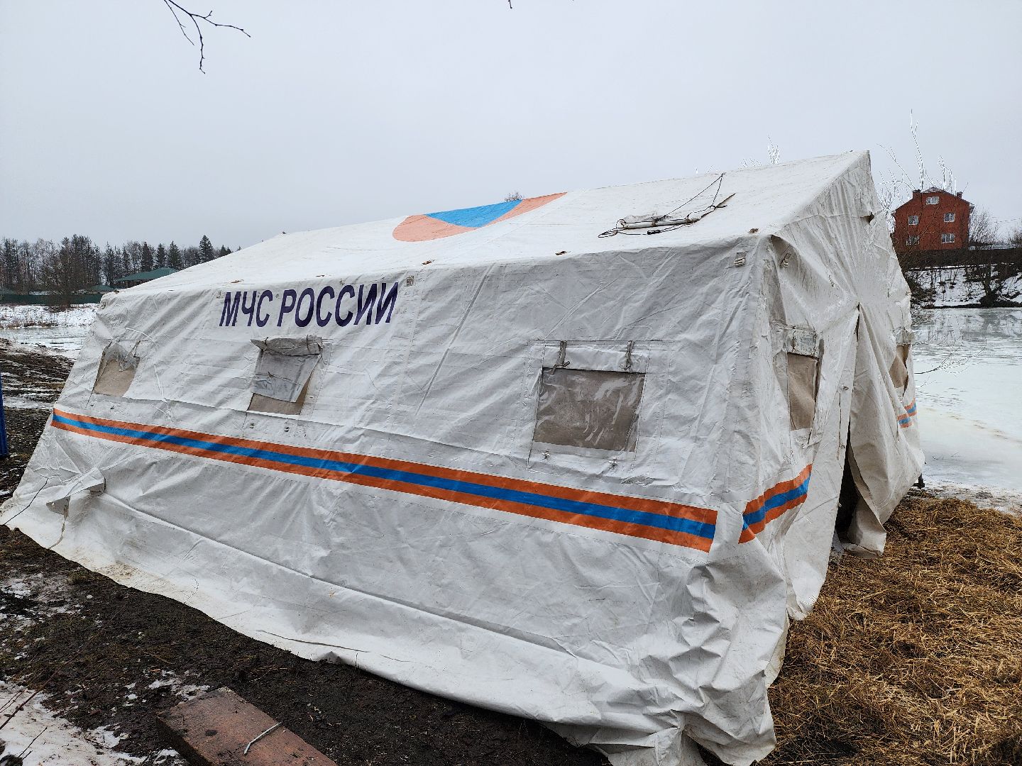 крещенские купания, руза, рузский округ, люди, крещение господне, вертикалки,