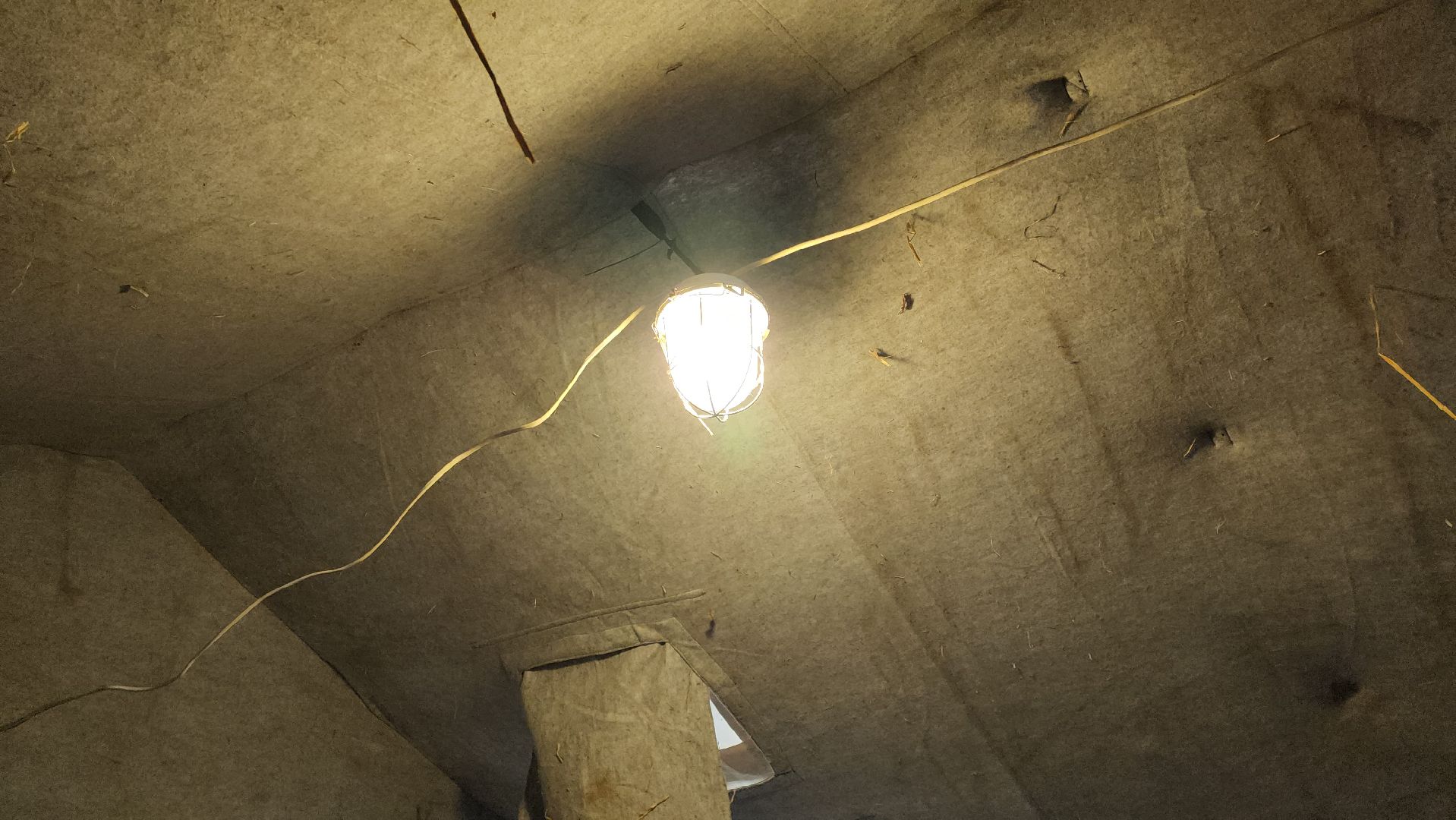 крещенские купания, руза, рузский округ, люди, крещение господне, вертикалки,