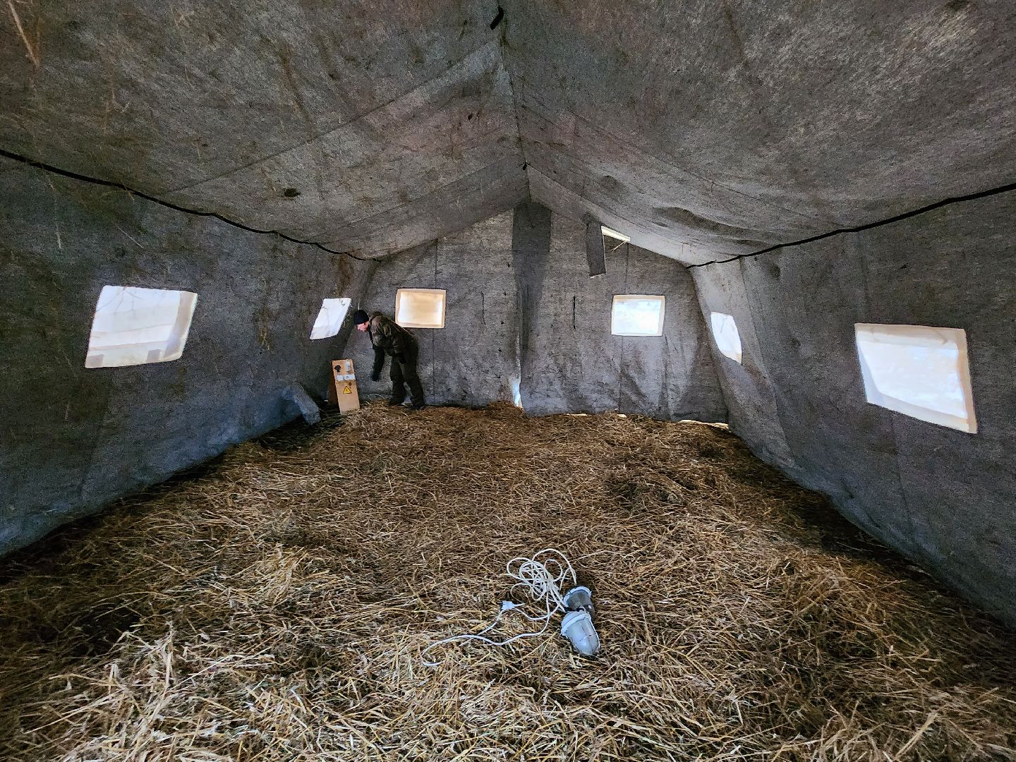 крещенские купания, руза, рузский округ, люди, крещение господне, вертикалки,