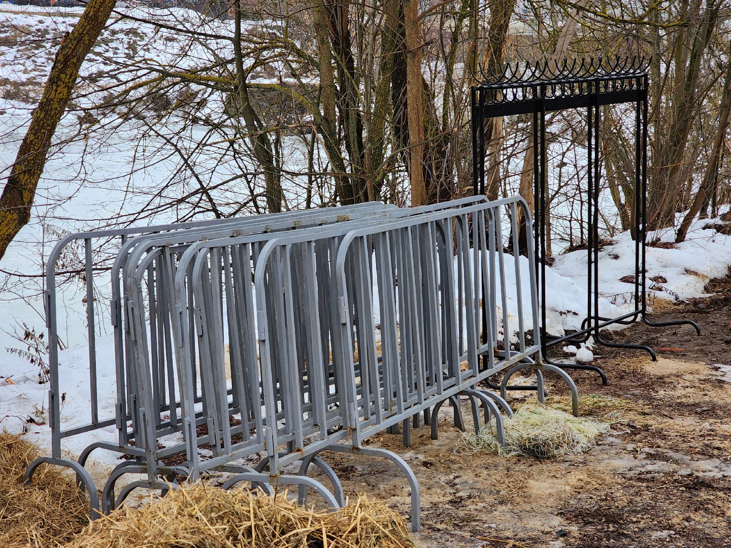 крещенские купания, руза, рузский округ, люди, крещение господне, вертикалки,