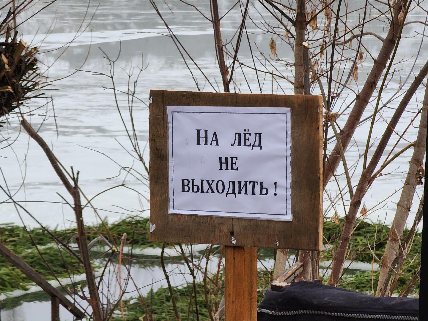 крещенские купания, руза, рузский округ, люди, крещение господне, вертикалки,