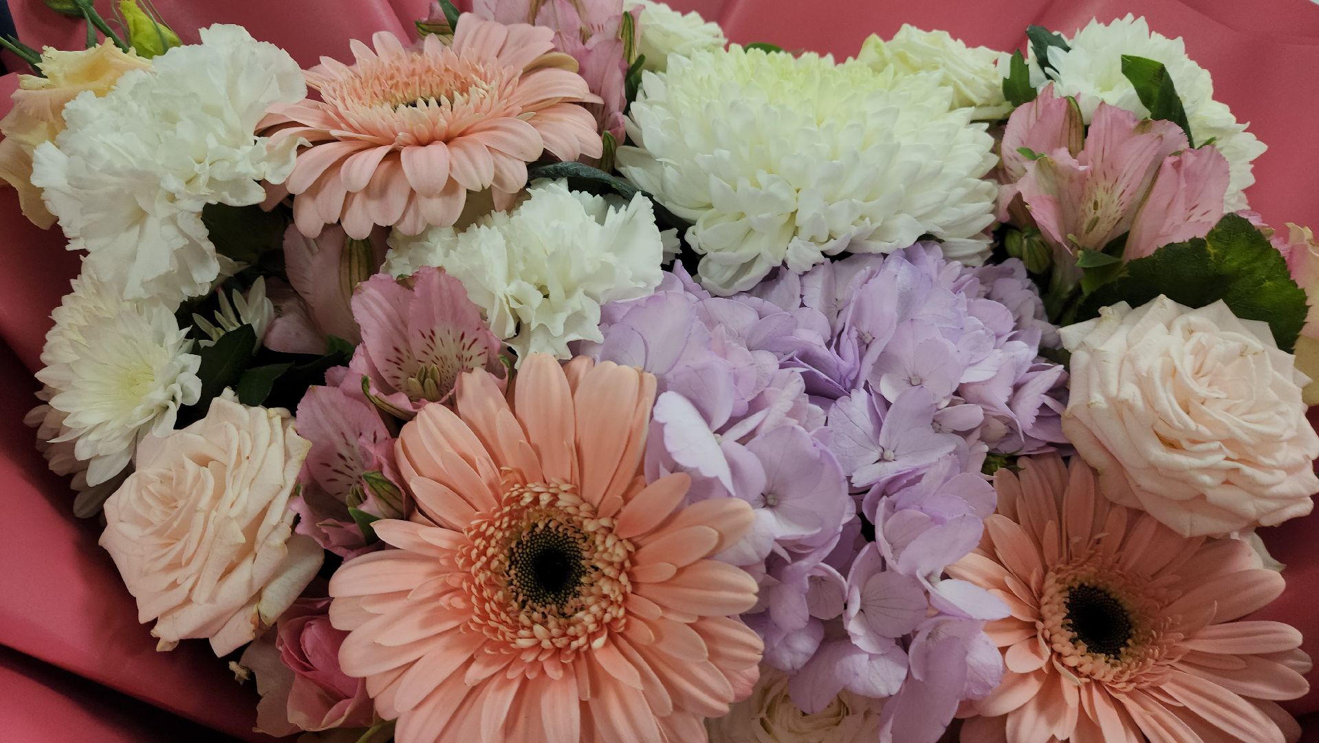 красногорск, медицина, роддом, вертикалки,