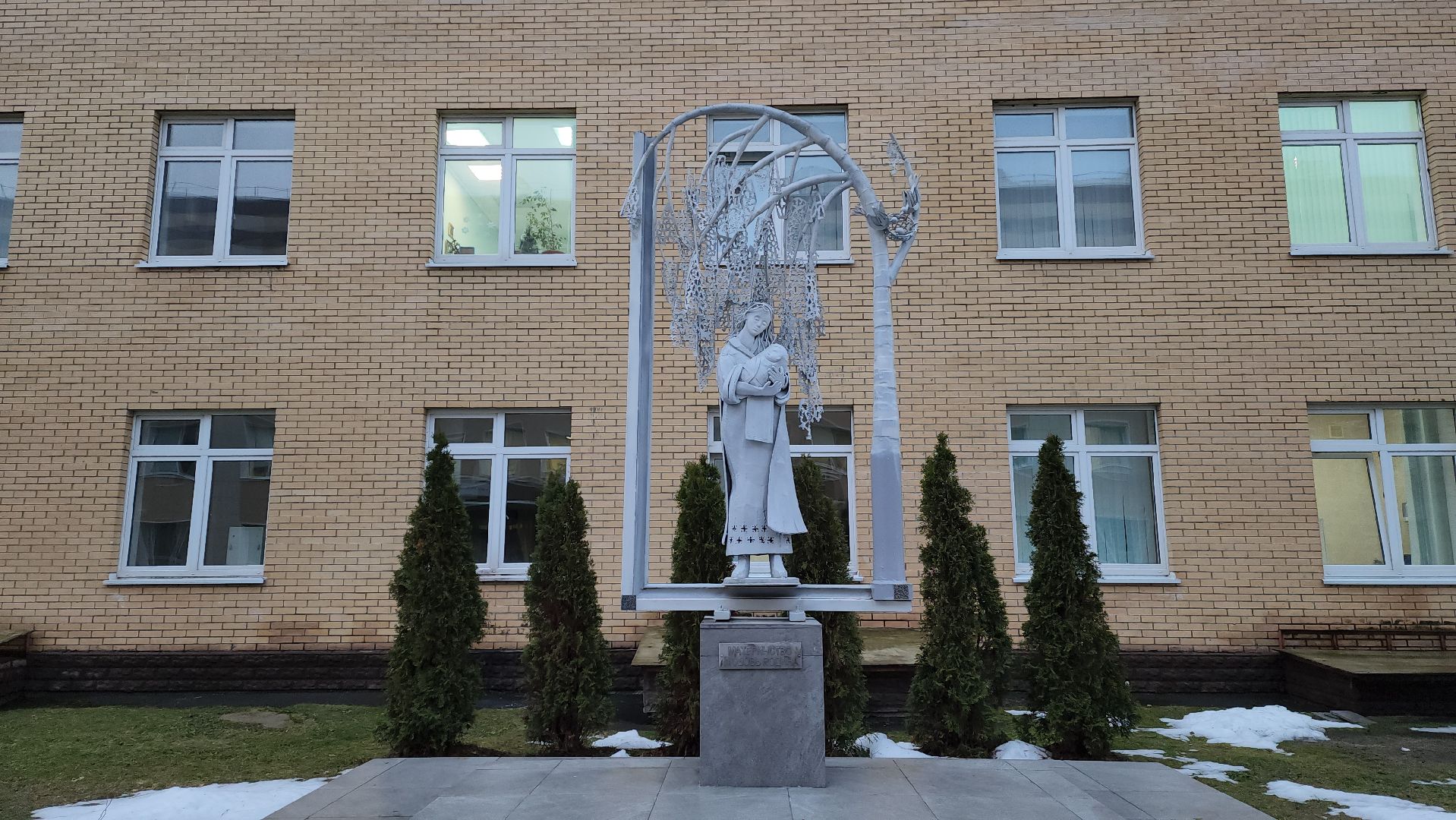 красногорск, медицина, роддом, вертикалки,