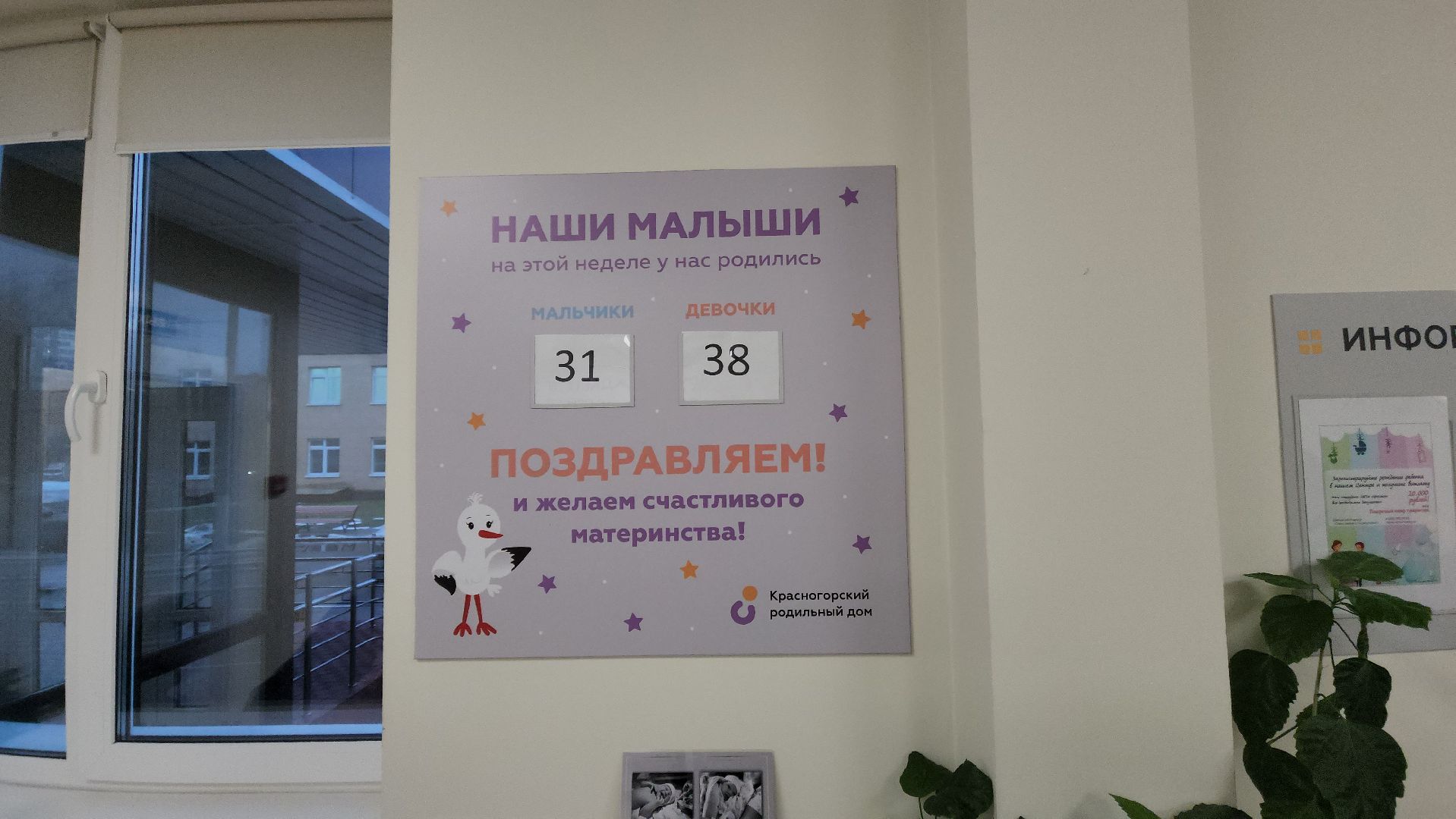 красногорск, медицина, роддом, вертикалки,