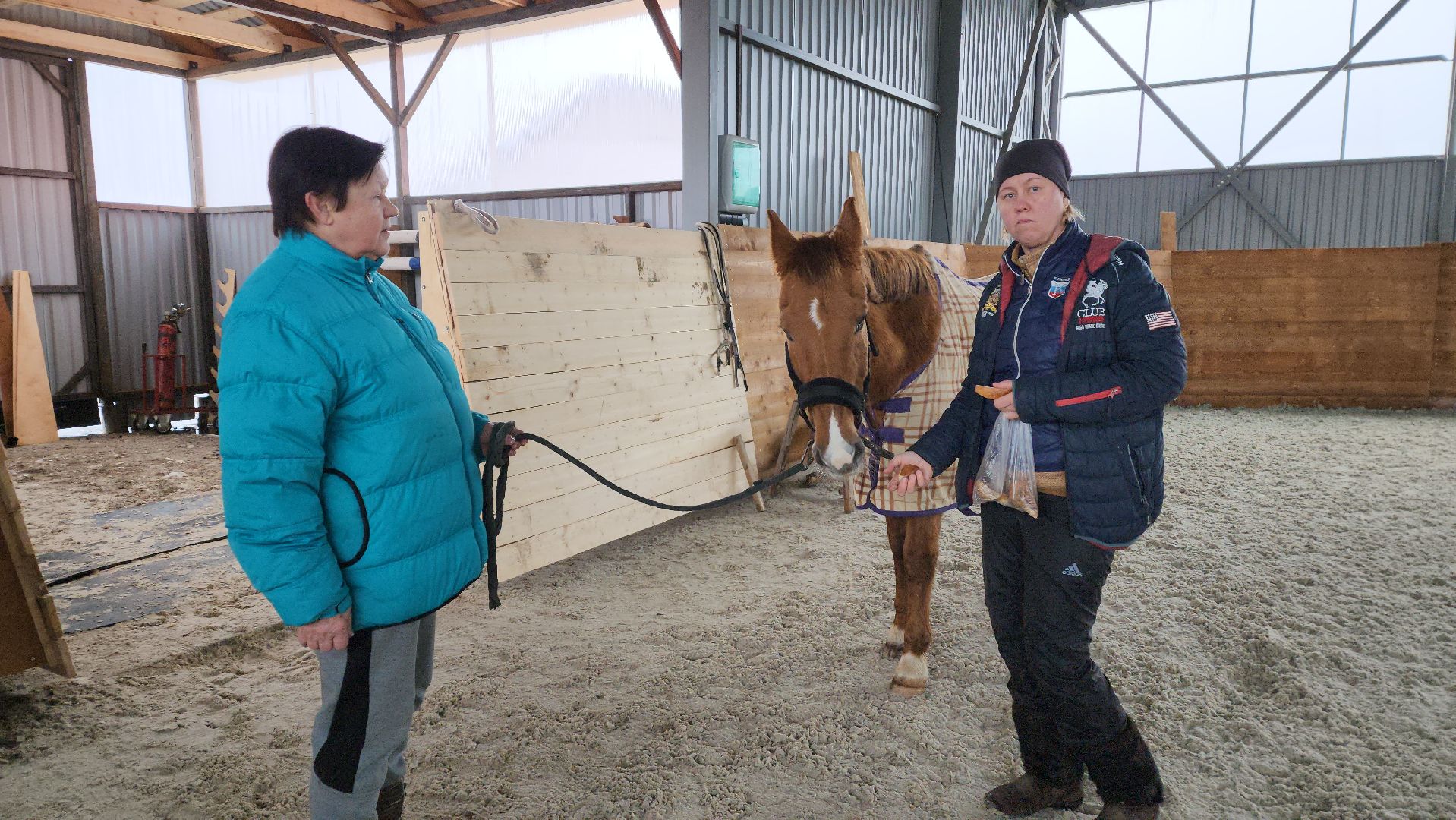 пушкинский, конный клуб, лошадь, спасение животных, спасение жизни, волонтерская помощь,