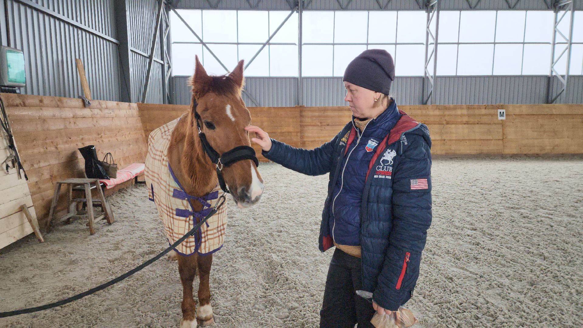 пушкинский, конный клуб, лошадь, спасение животных, спасение жизни, волонтерская помощь,