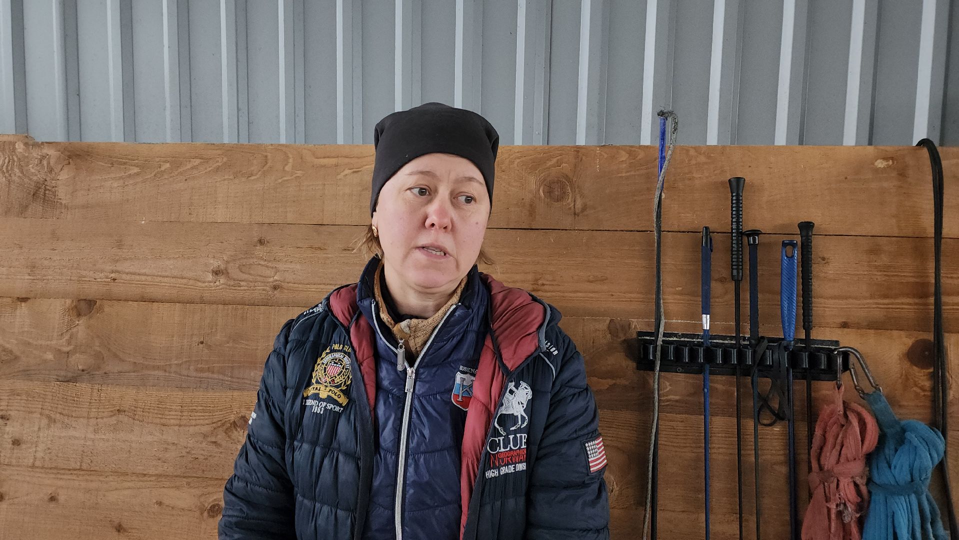 пушкинский, конный клуб, лошадь, спасение животных, спасение жизни, волонтерская помощь,