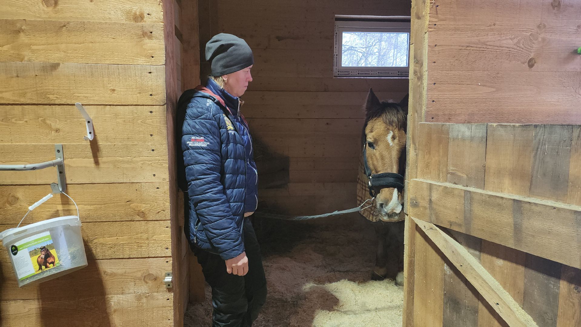 пушкинский, конный клуб, лошадь, спасение животных, спасение жизни, волонтерская помощь,