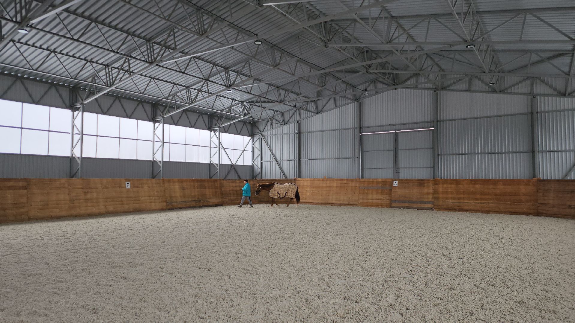 пушкинский, конный клуб, лошадь, спасение животных, спасение жизни, волонтерская помощь,