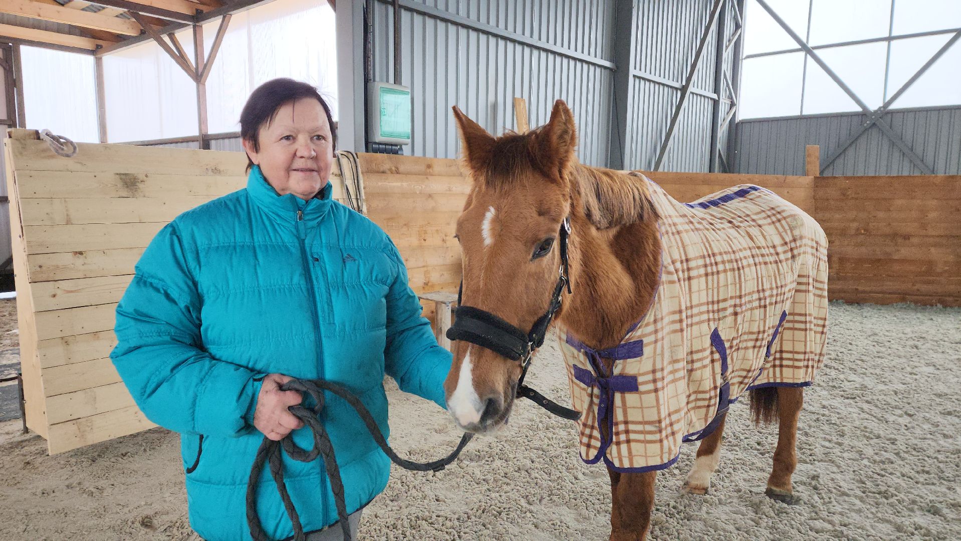 пушкинский, конный клуб, лошадь, спасение животных, спасение жизни, волонтерская помощь,