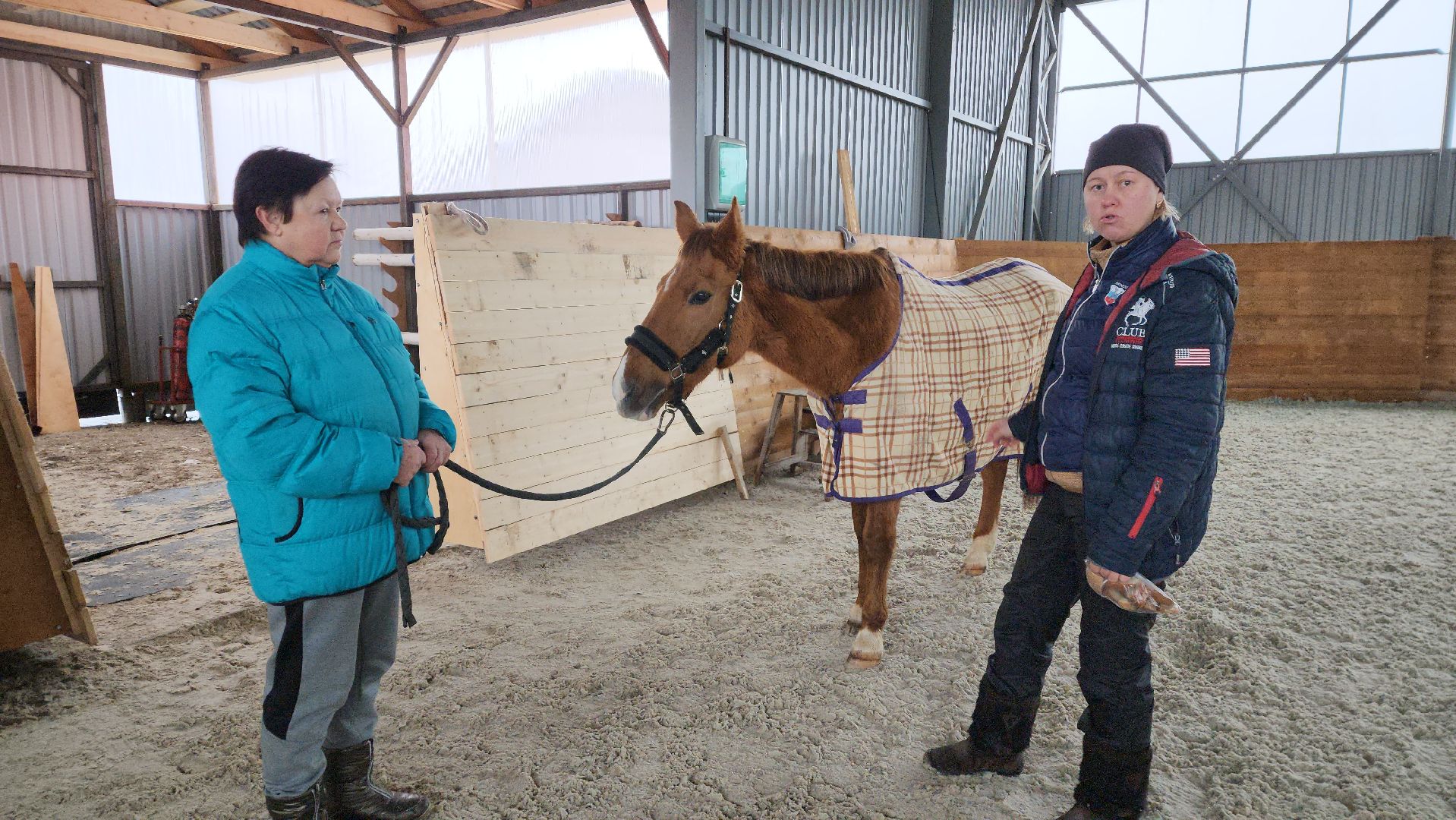 пушкинский, конный клуб, лошадь, спасение животных, спасение жизни, волонтерская помощь,