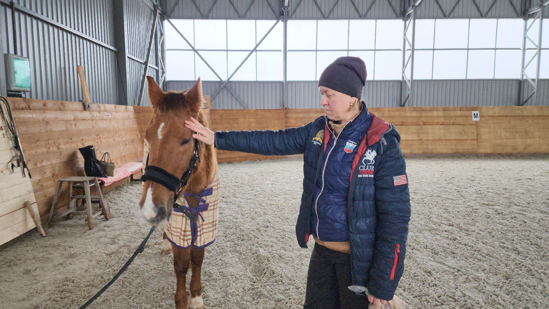 пушкинский, конный клуб, лошадь, спасение животных, спасение жизни, волонтерская помощь,