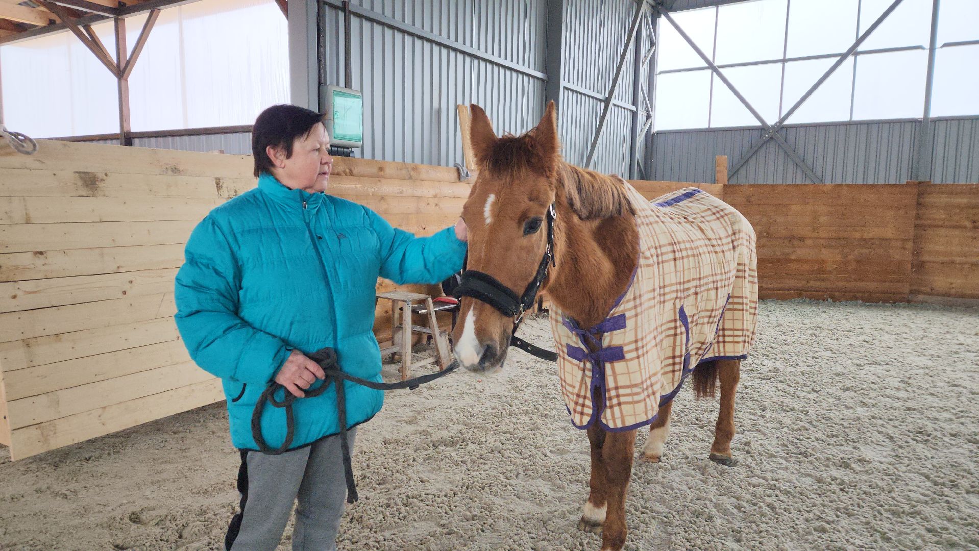 пушкинский, конный клуб, лошадь, спасение животных, спасение жизни, волонтерская помощь,
