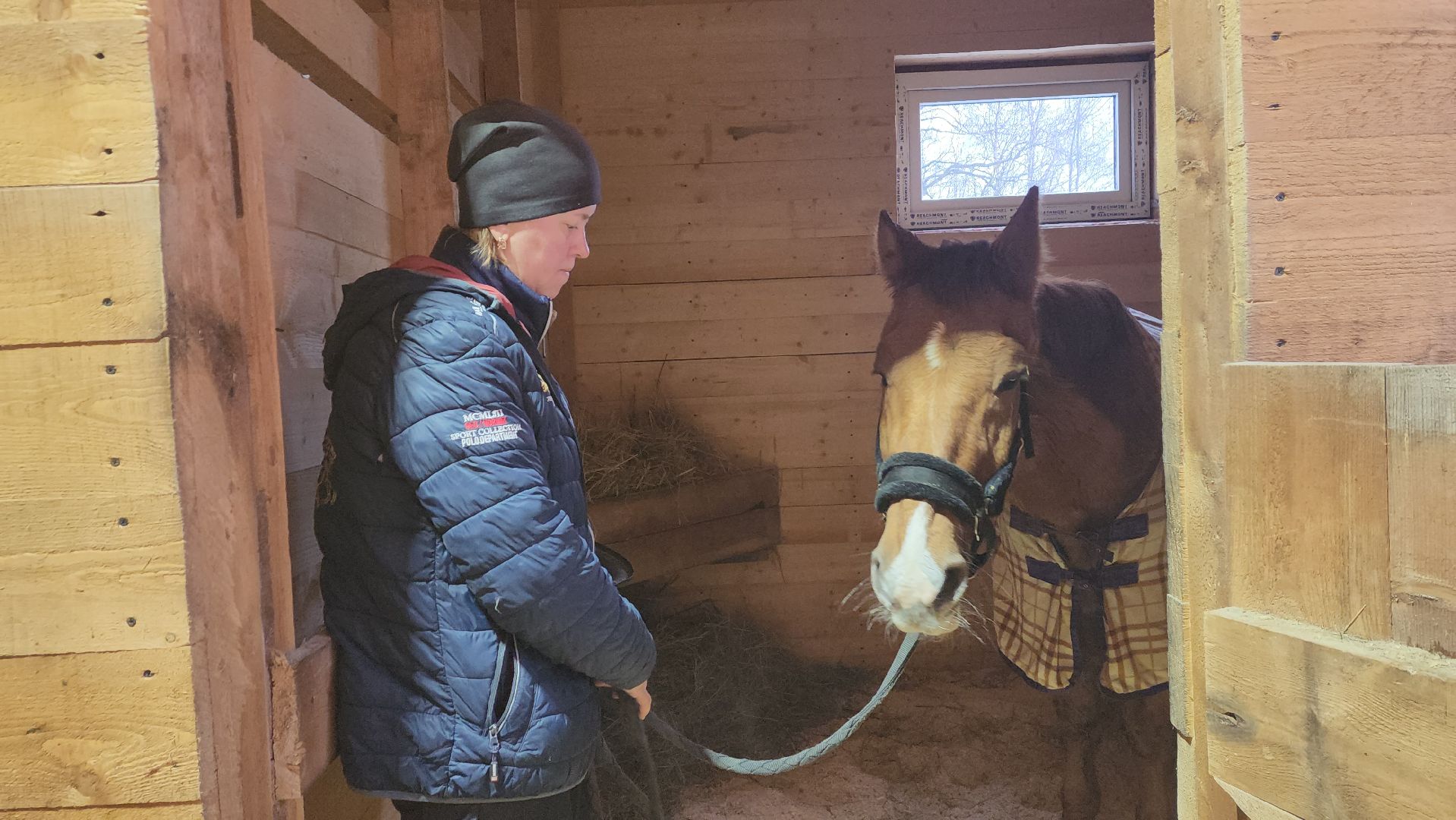 пушкинский, конный клуб, лошадь, спасение животных, спасение жизни, волонтерская помощь,