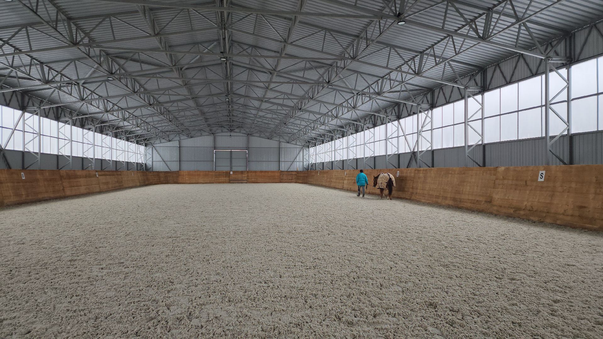 пушкинский, конный клуб, лошадь, спасение животных, спасение жизни, волонтерская помощь,