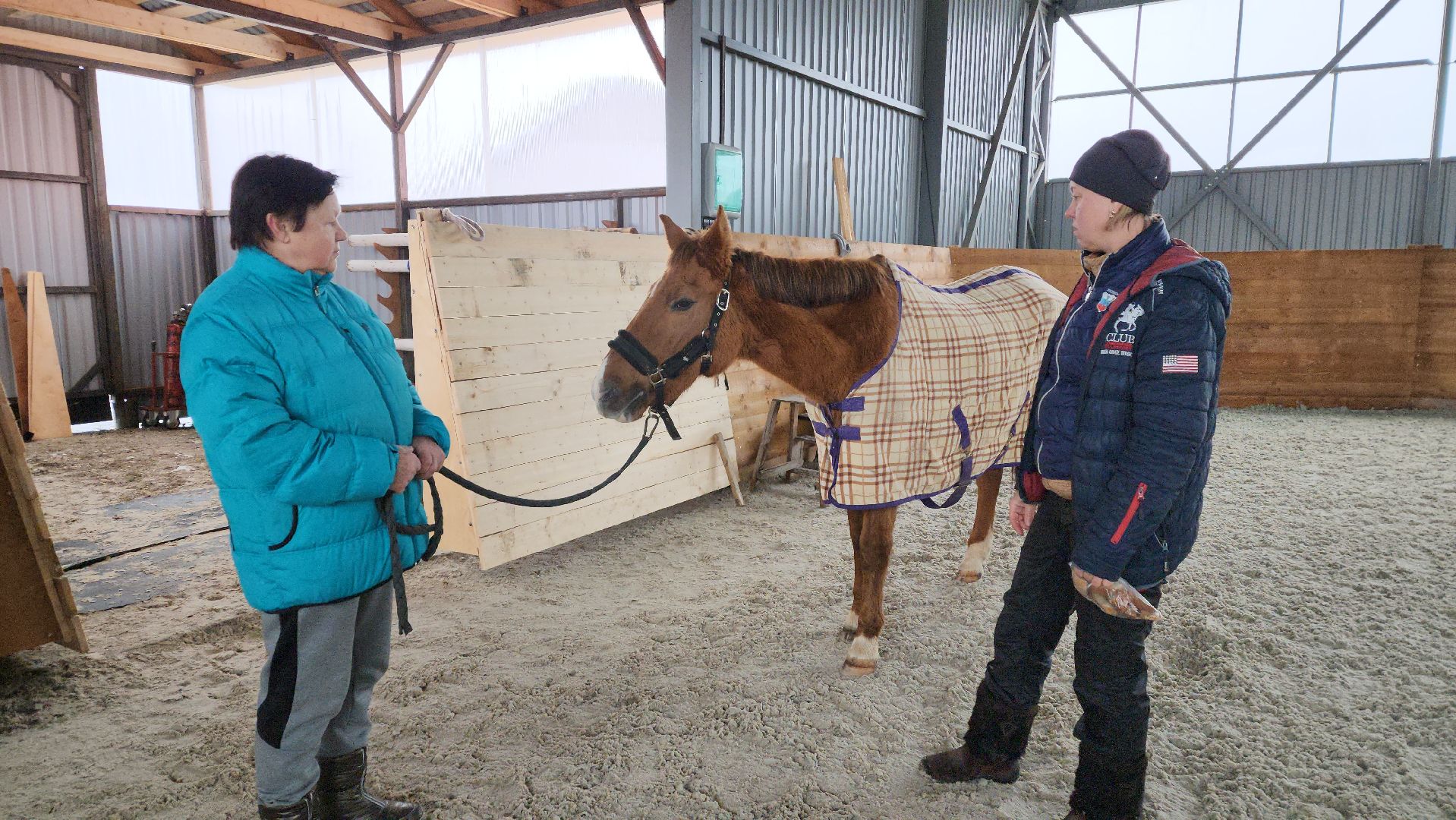 пушкинский, конный клуб, лошадь, спасение животных, спасение жизни, волонтерская помощь,