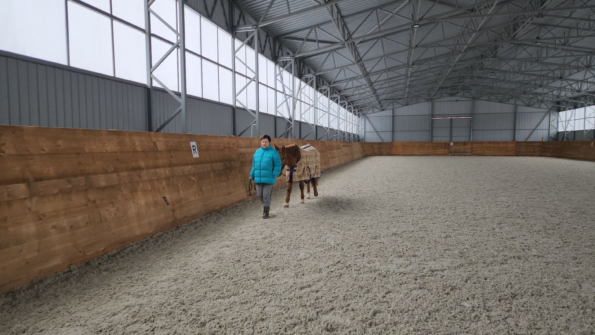 пушкинский, конный клуб, лошадь, спасение животных, спасение жизни, волонтерская помощь,