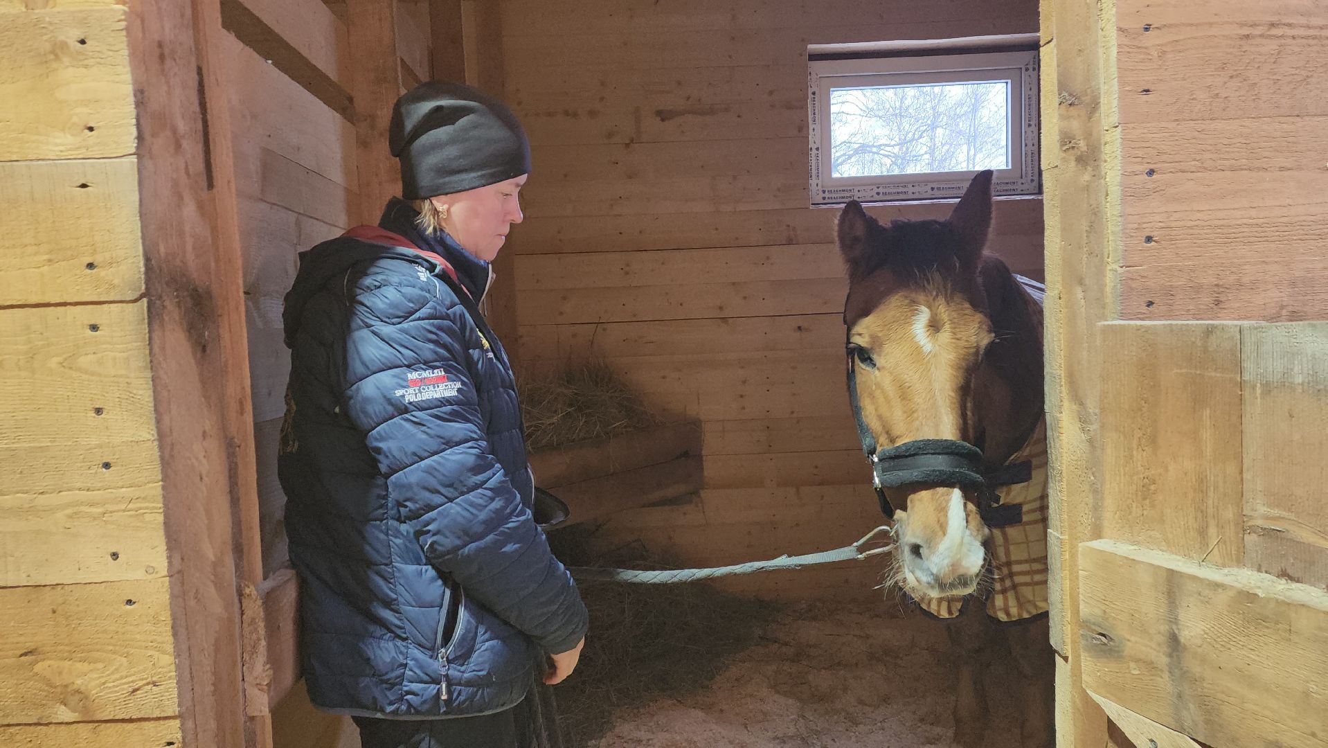 пушкинский, конный клуб, лошадь, спасение животных, спасение жизни, волонтерская помощь,