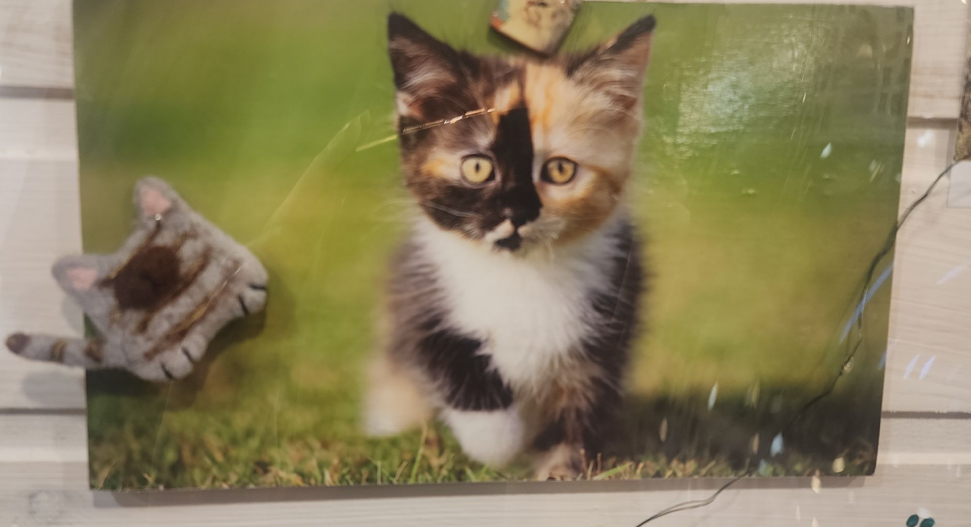 Звенигород, культура и туризм в подмосковье, музеи подмосковья, традиции, вертикалки,