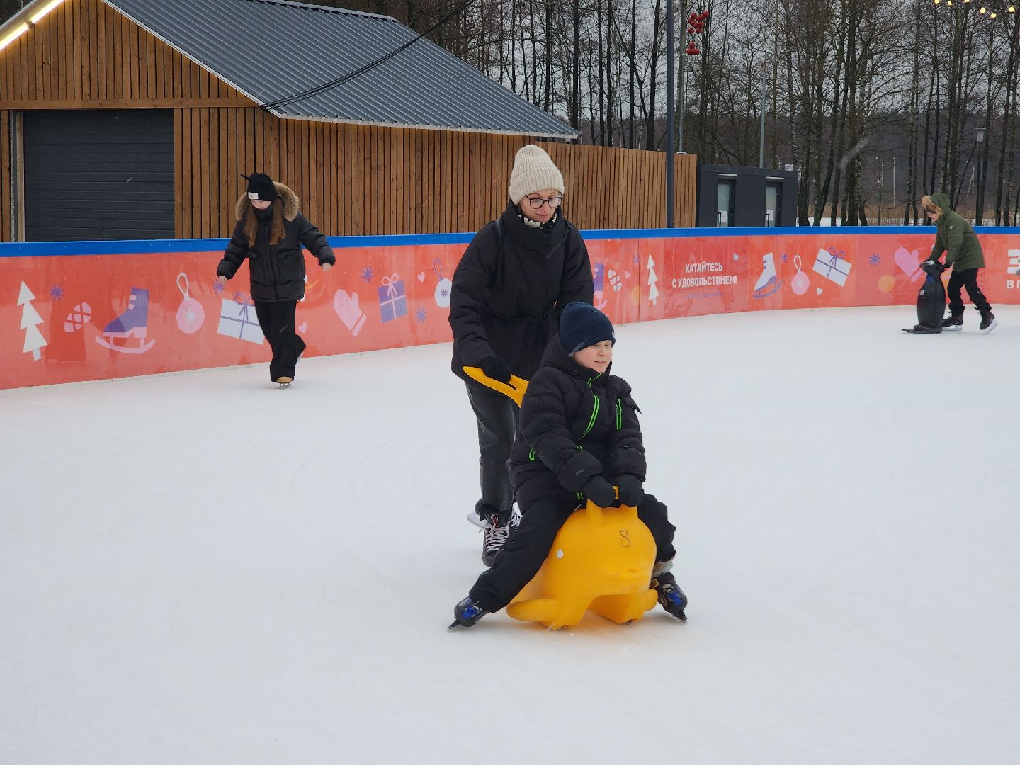 Егорьевск, Каток, Подмосковье, Московская область, Парк,вертикалки,