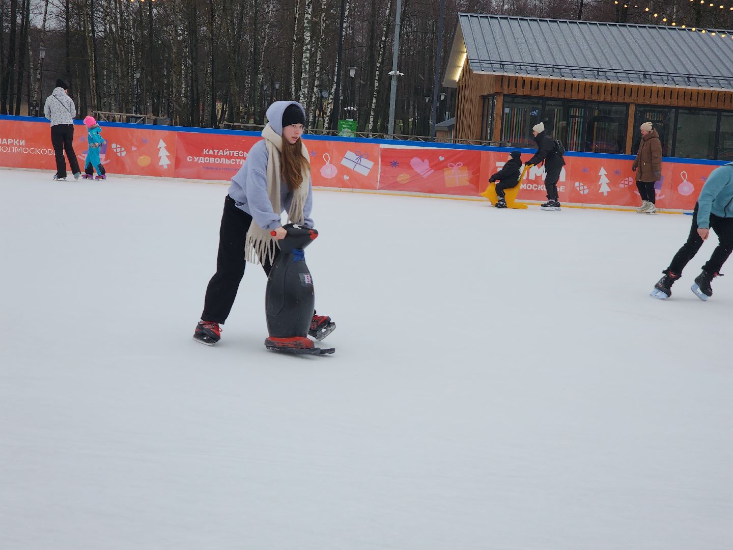 Егорьевск, Каток, Подмосковье, Московская область, Парк,вертикалки,