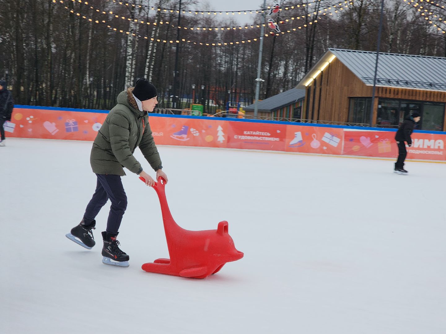 Егорьевск, Каток, Подмосковье, Московская область, Парк,вертикалки,