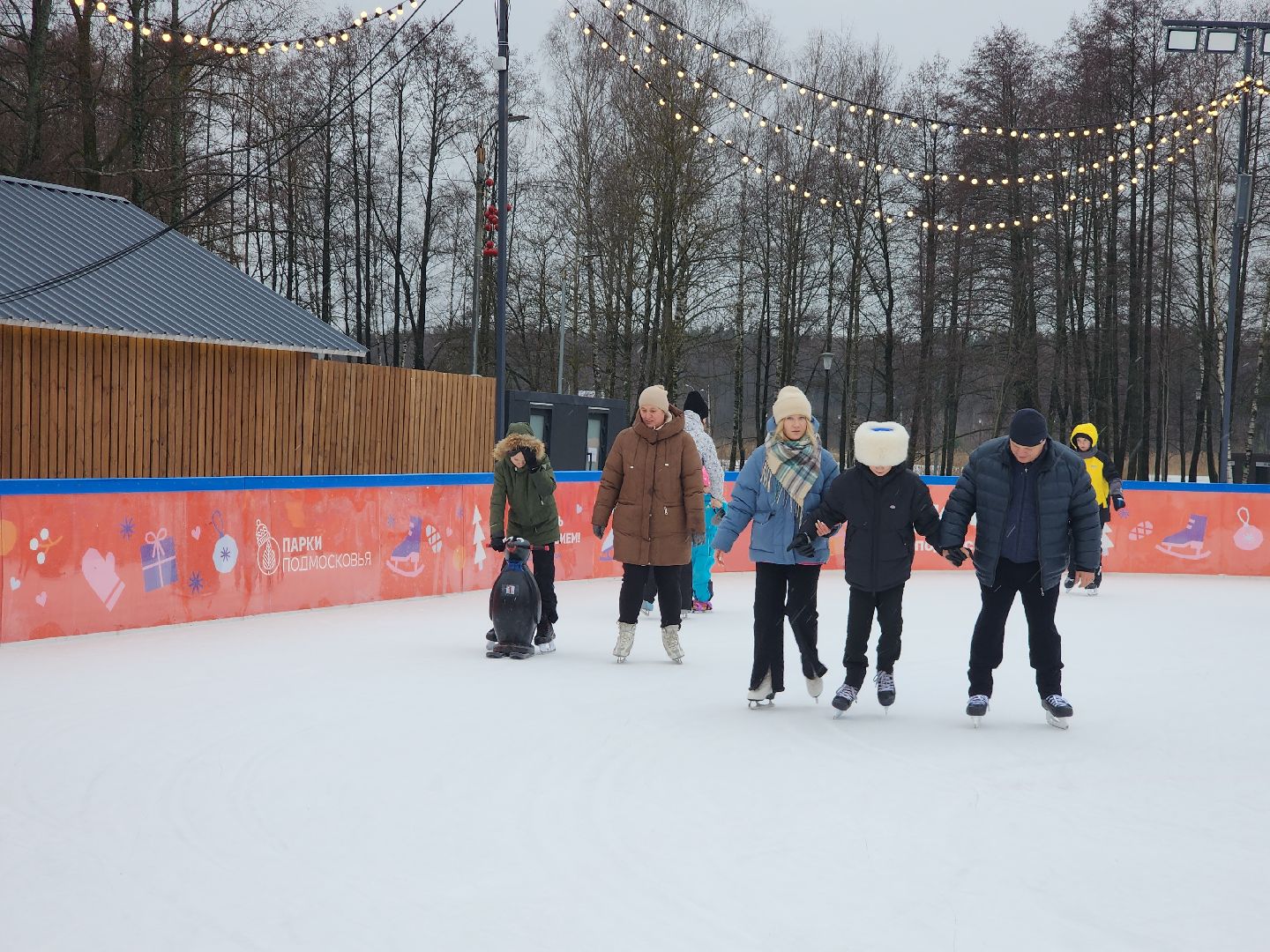 Егорьевск, Каток, Подмосковье, Московская область, Парк,вертикалки,