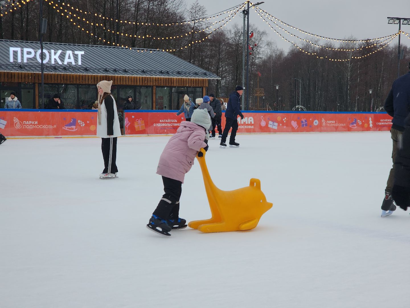 Егорьевск, Каток, Подмосковье, Московская область, Парк,вертикалки,