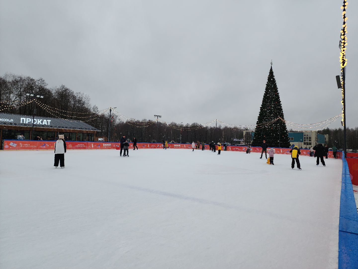 Егорьевск, Каток, Подмосковье, Московская область, Парк,вертикалки,