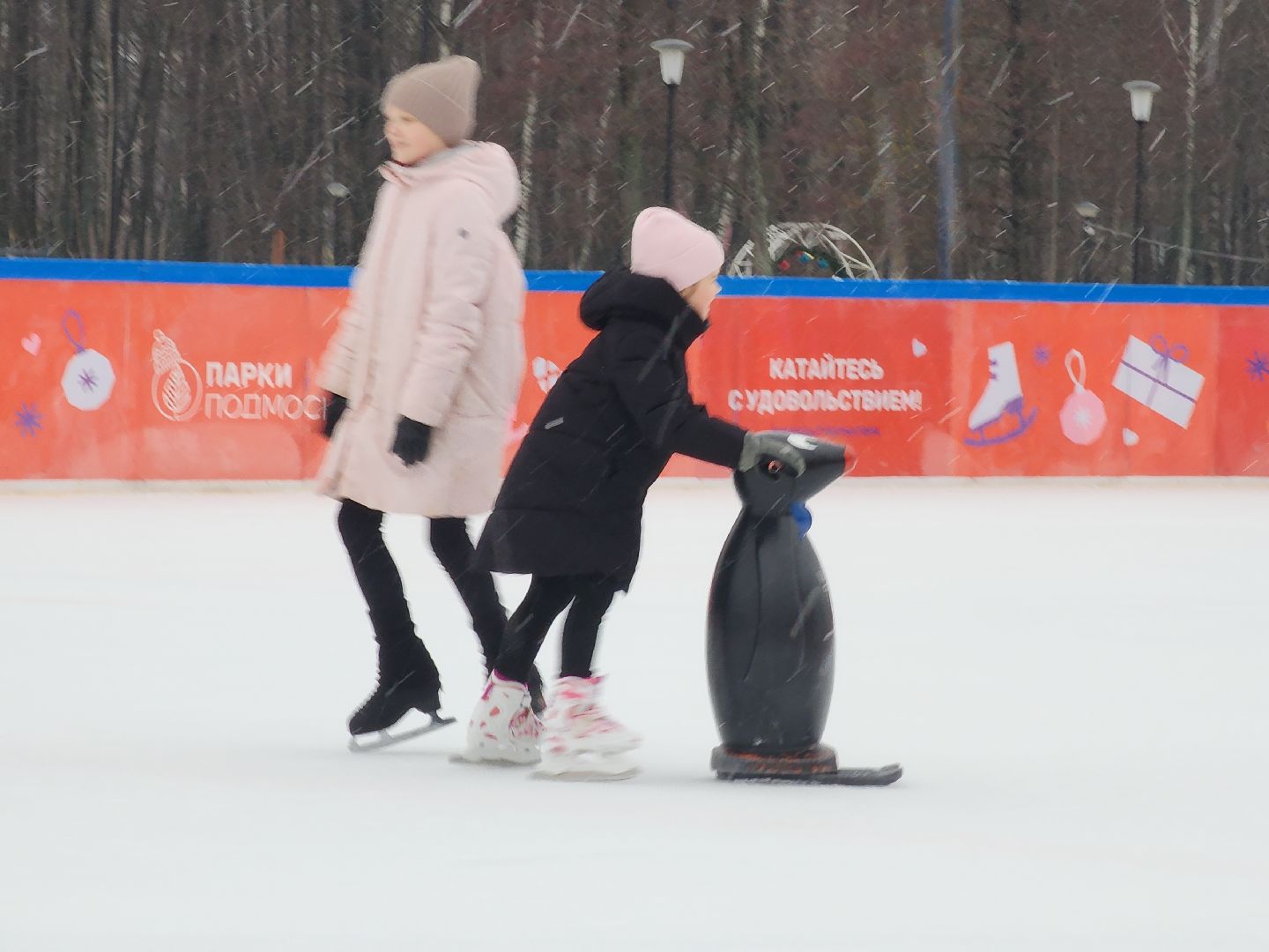 Егорьевск, Каток, Подмосковье, Московская область, Парк,вертикалки,