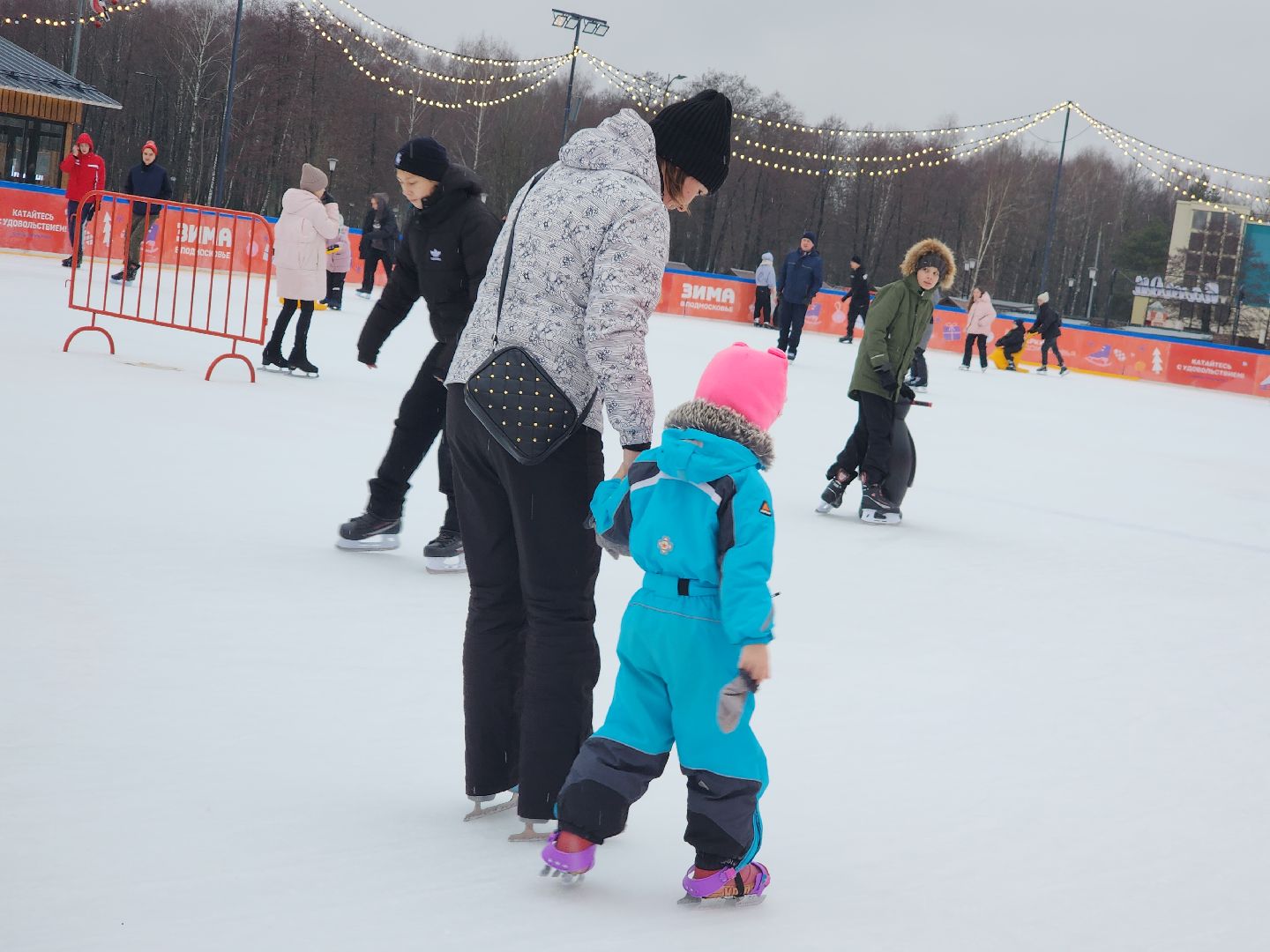 Егорьевск, Каток, Подмосковье, Московская область, Парк,вертикалки,