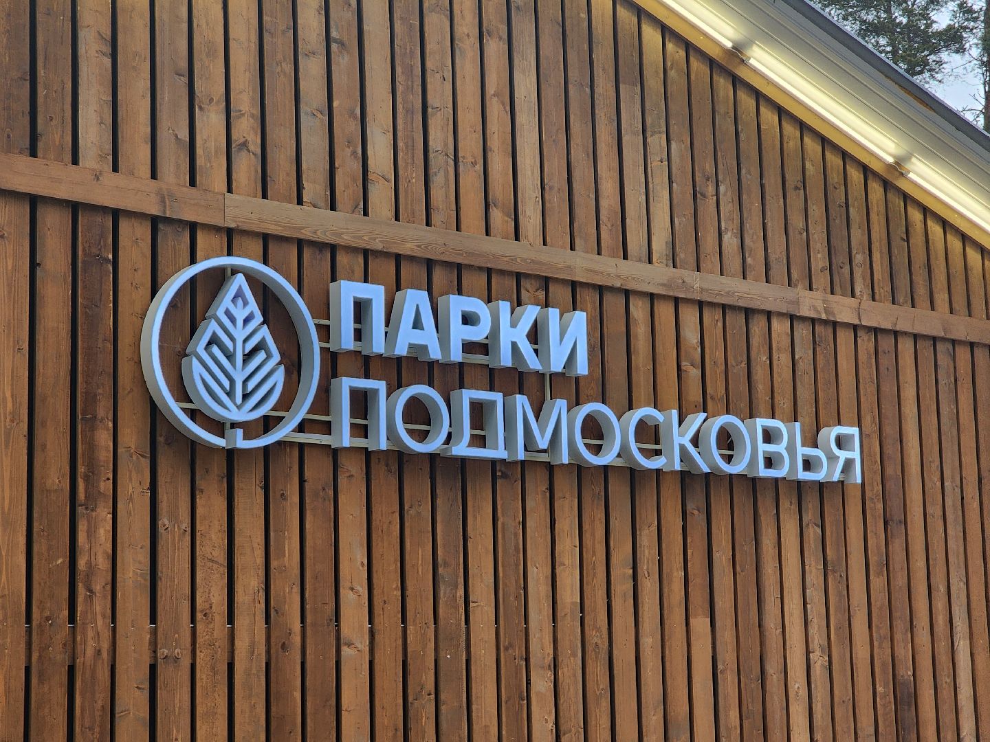 Дубна, Каток, показательные выступления, Спорт, вертикалки,