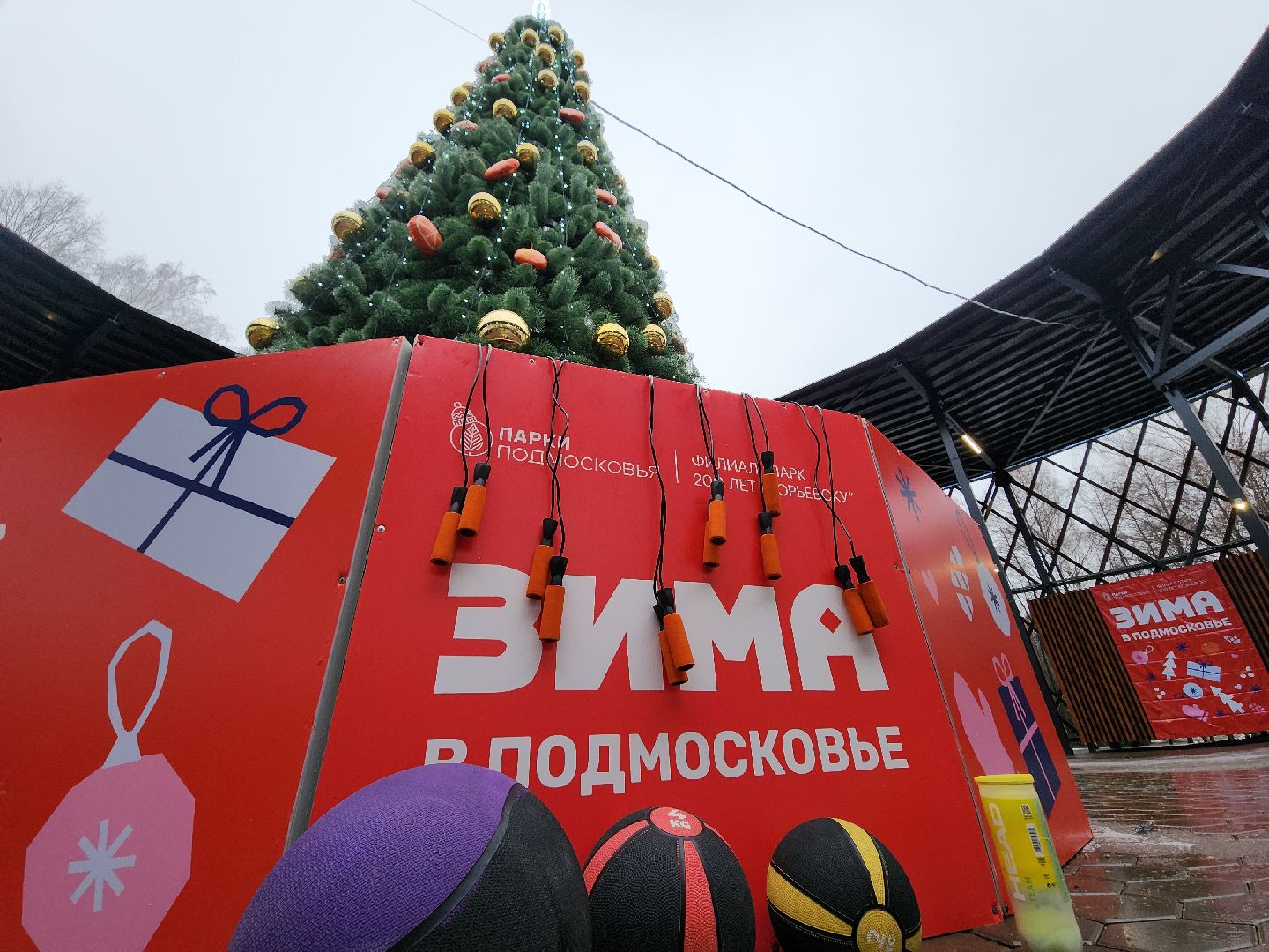 Егорьевск, Подмосковье, Московская область, парк,вертикалки, зима в подмосковье,