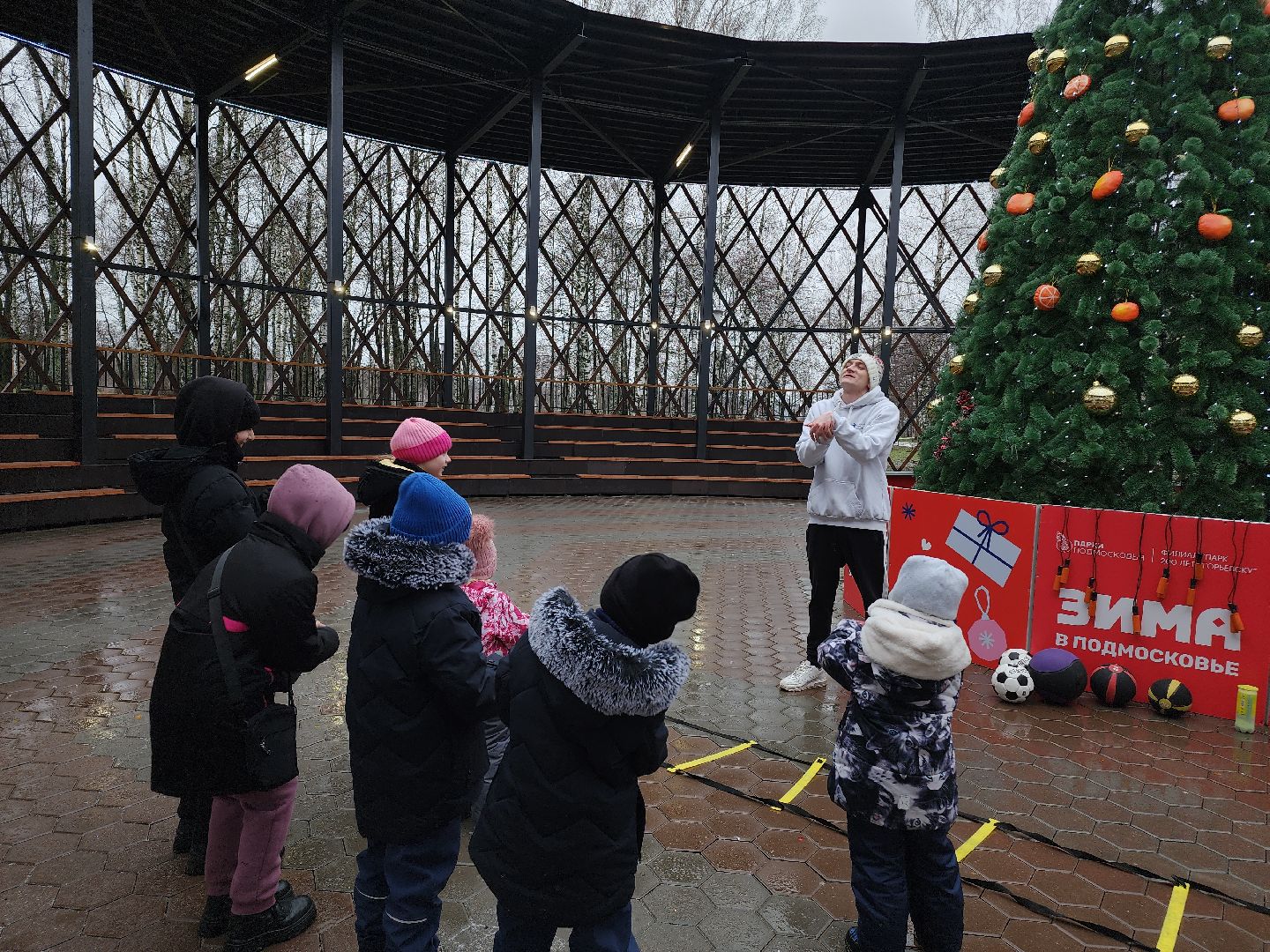 Егорьевск, Подмосковье, Московская область, парк,вертикалки, зима в подмосковье,