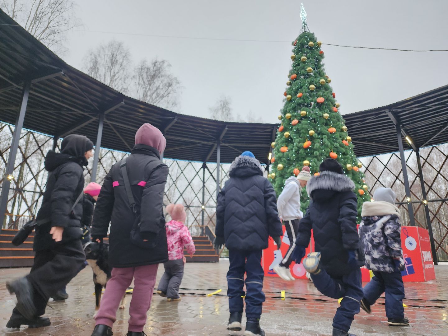 Егорьевск, Подмосковье, Московская область, парк,вертикалки, зима в подмосковье,